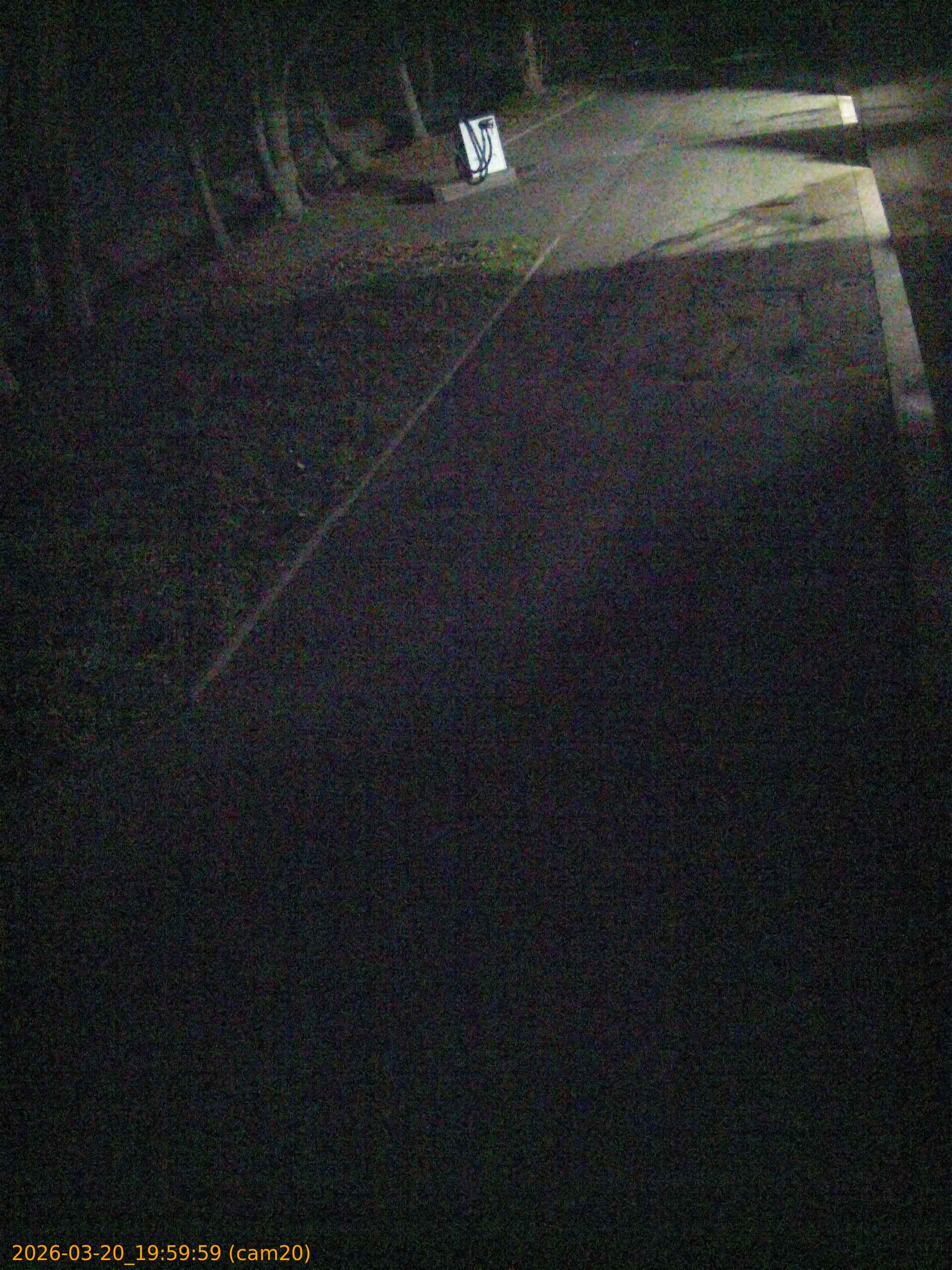 thumbnail_202603201959