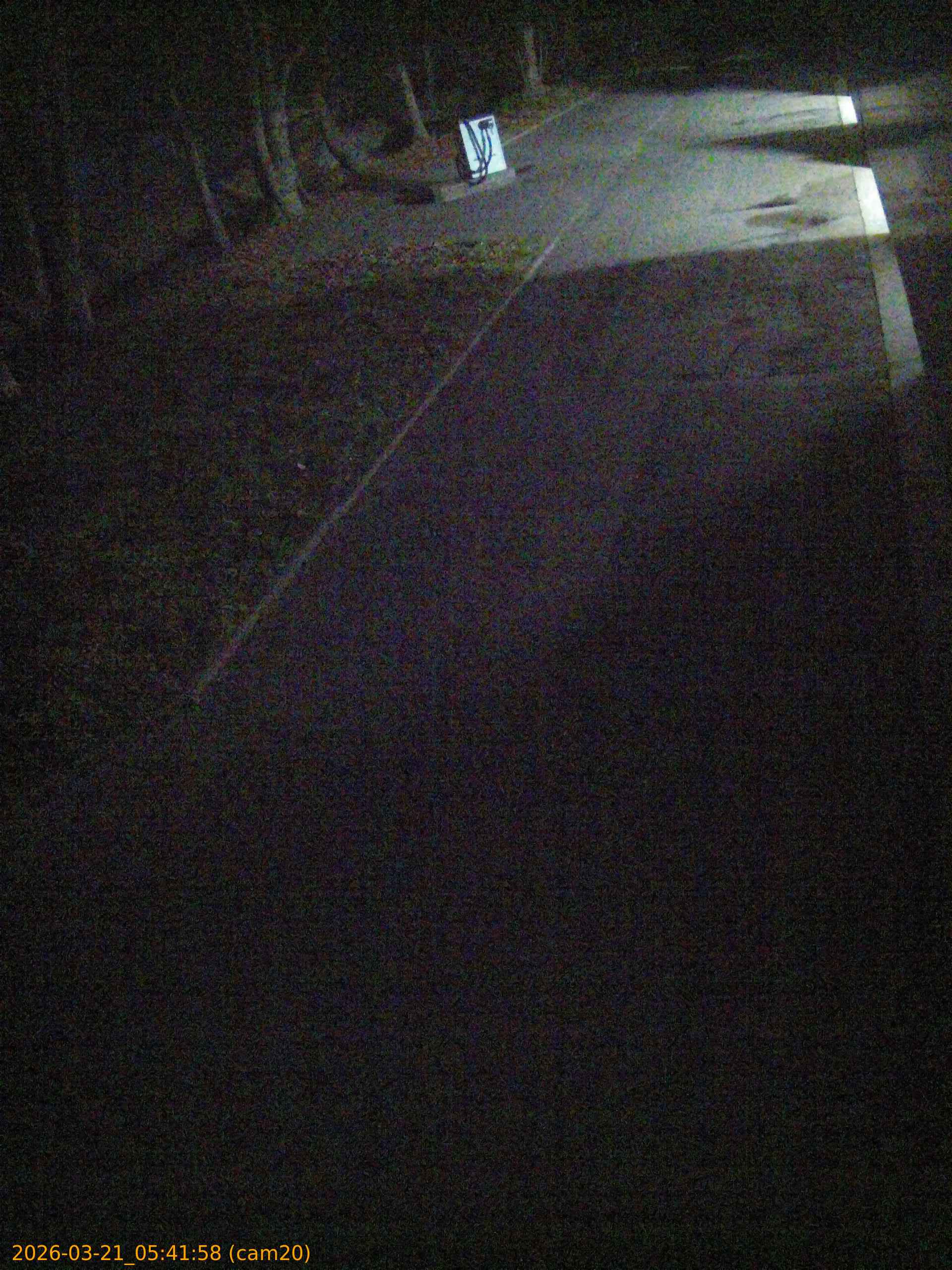 thumbnail_202603210541