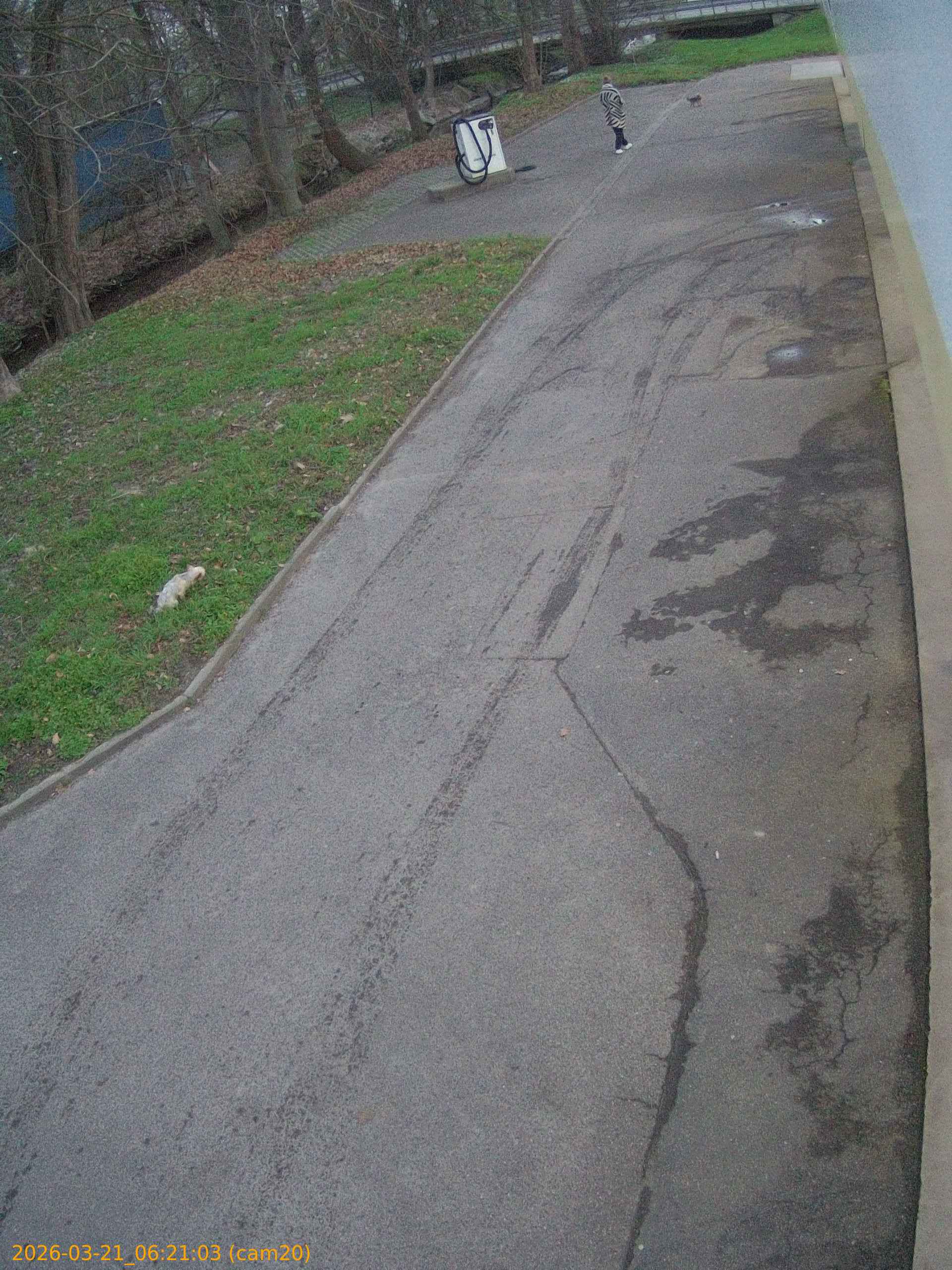 thumbnail_20260321062103