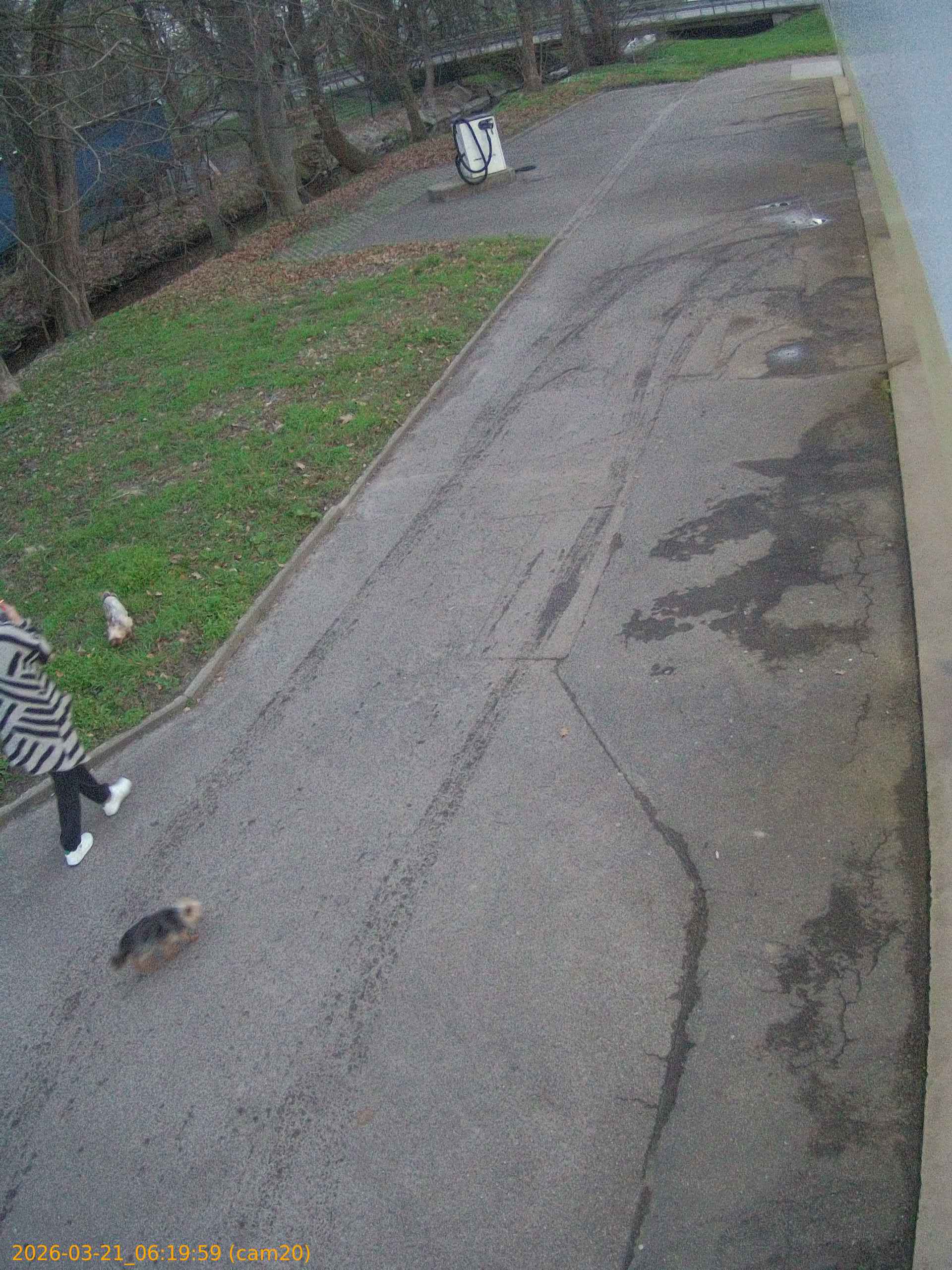 thumbnail_202603210619