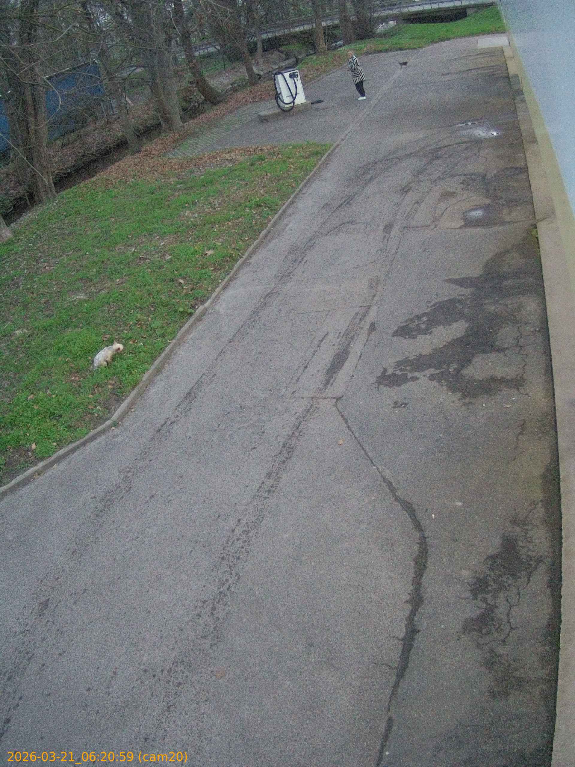 thumbnail_202603210620