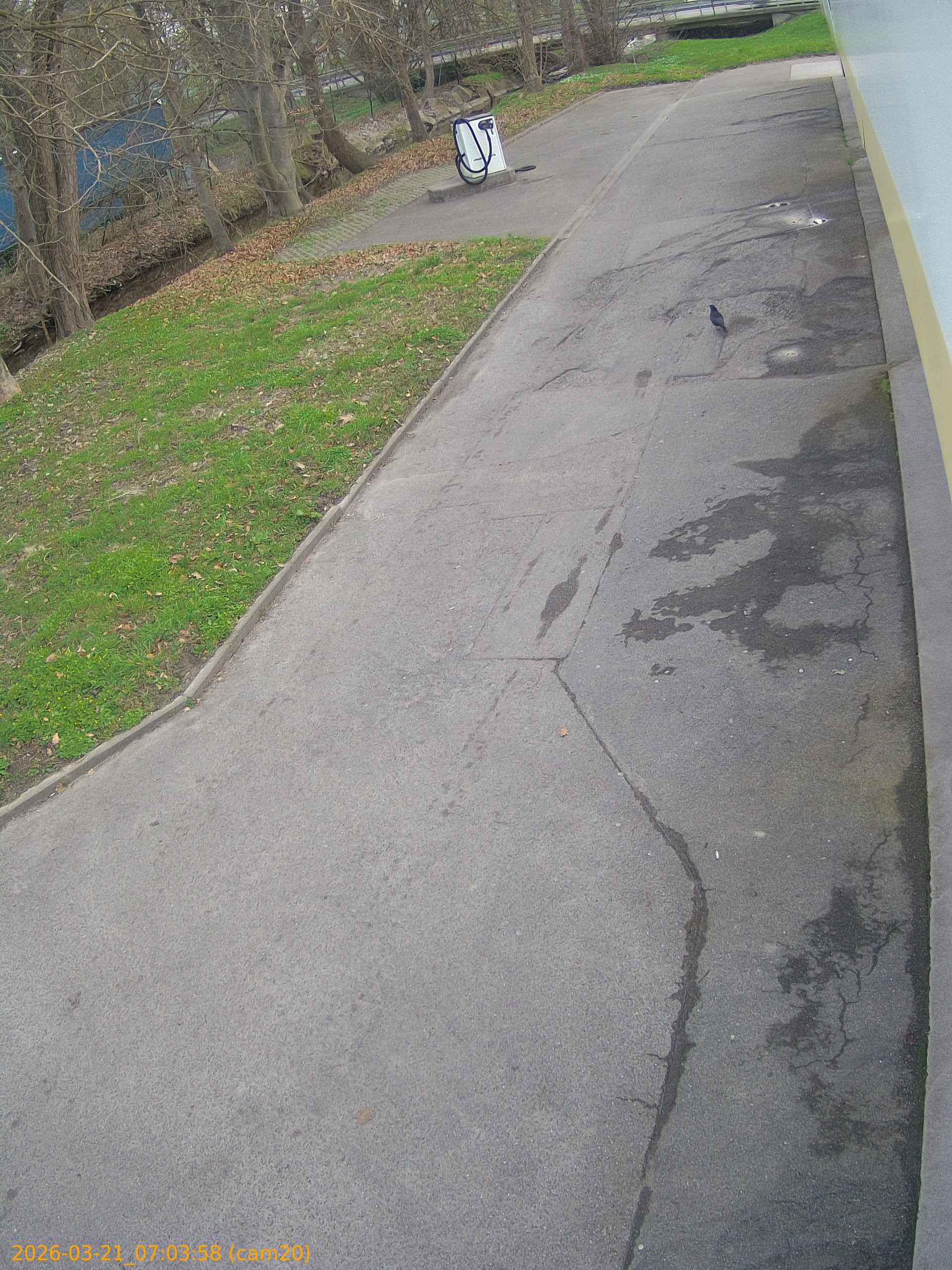 thumbnail_202603210703