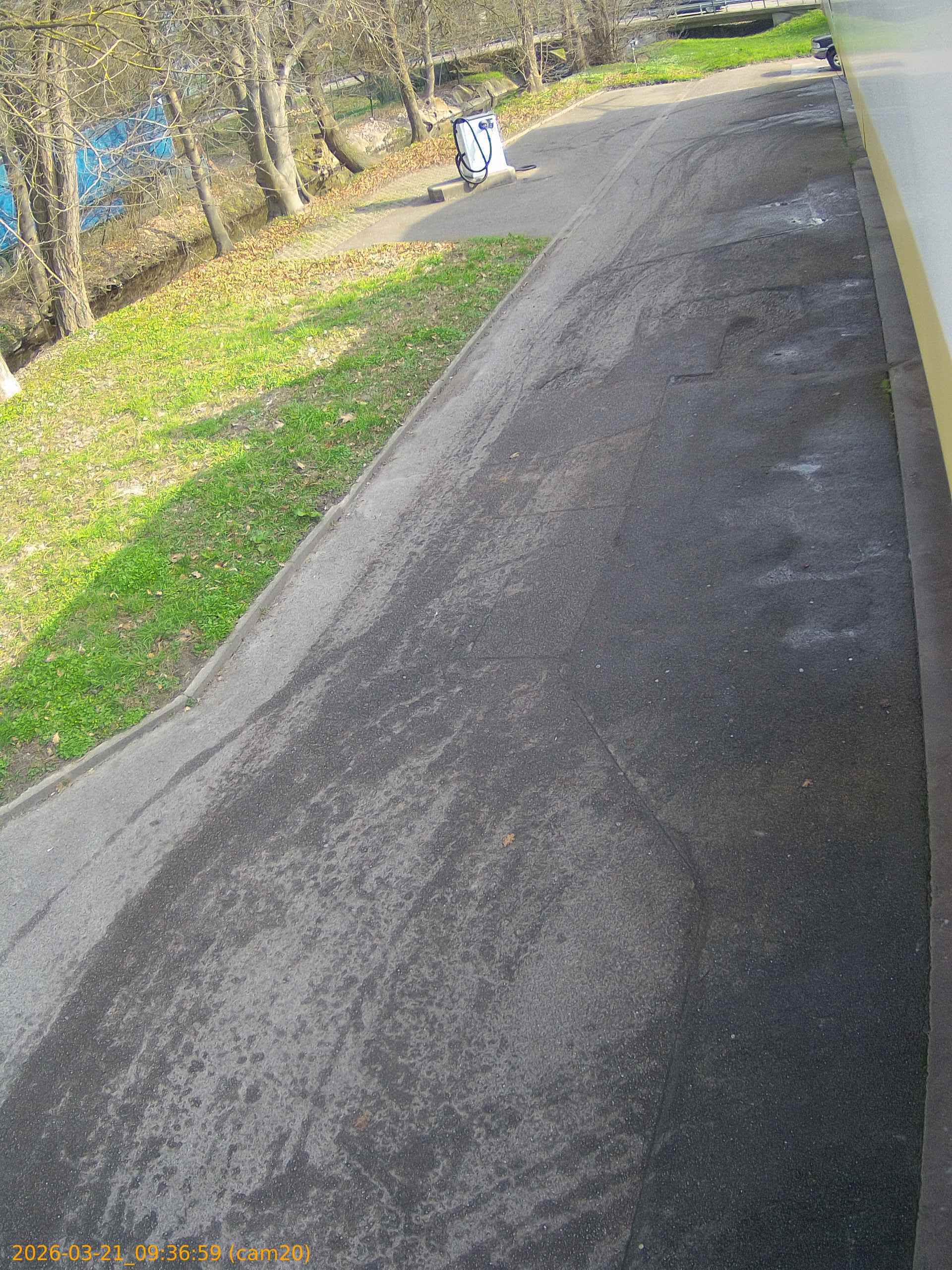 thumbnail_202603210936