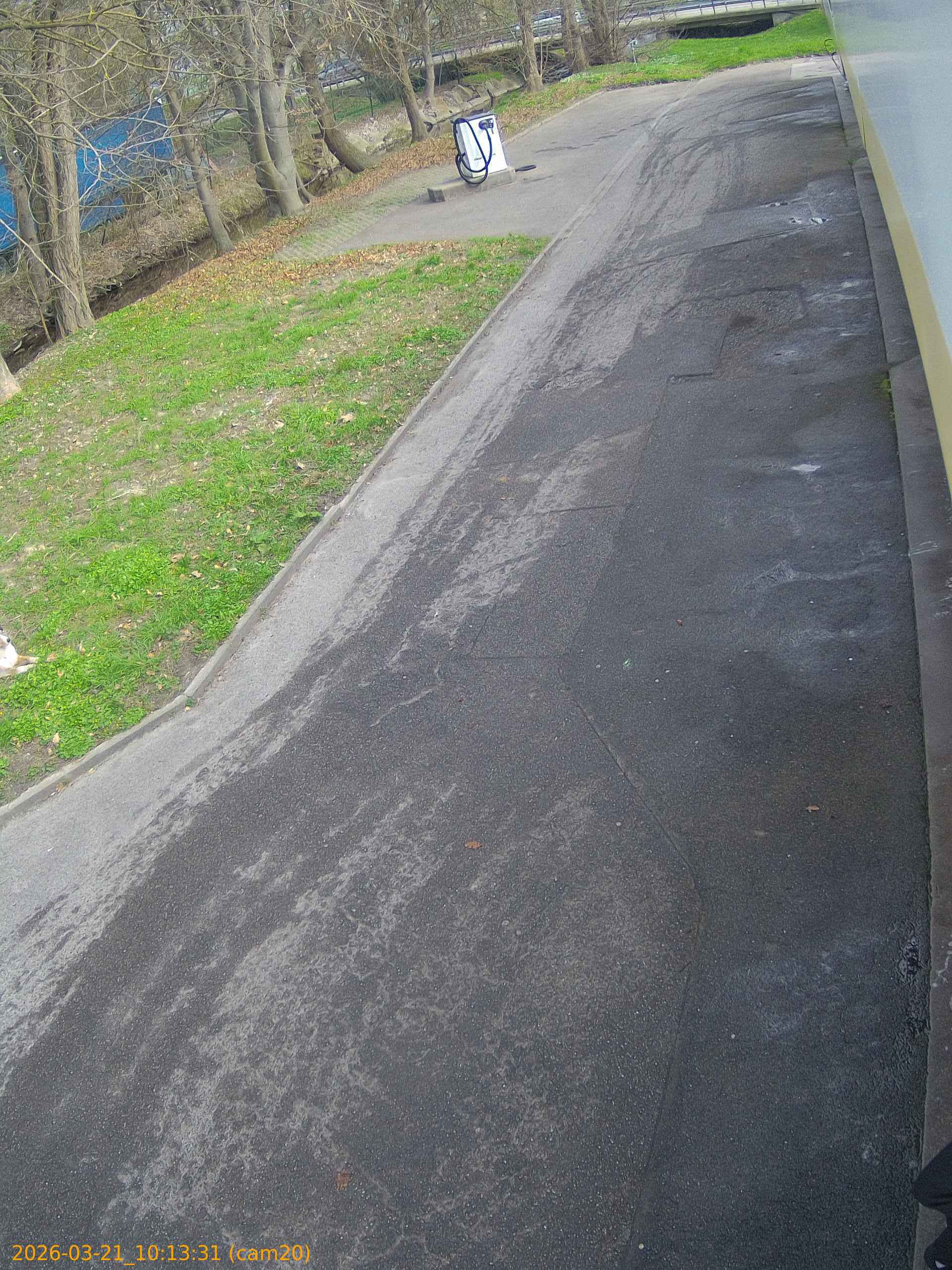 thumbnail_20260321101331