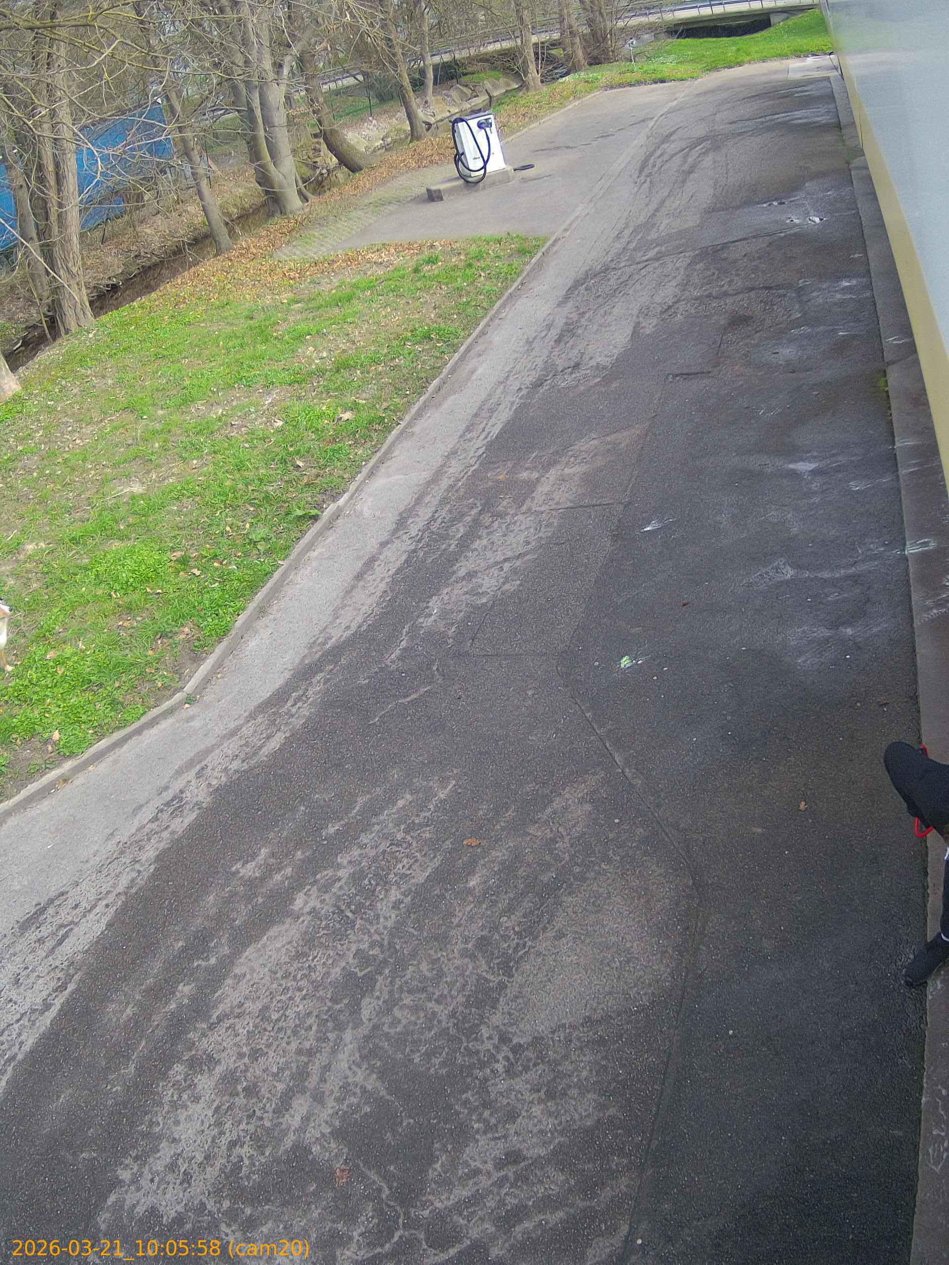 thumbnail_202603211005