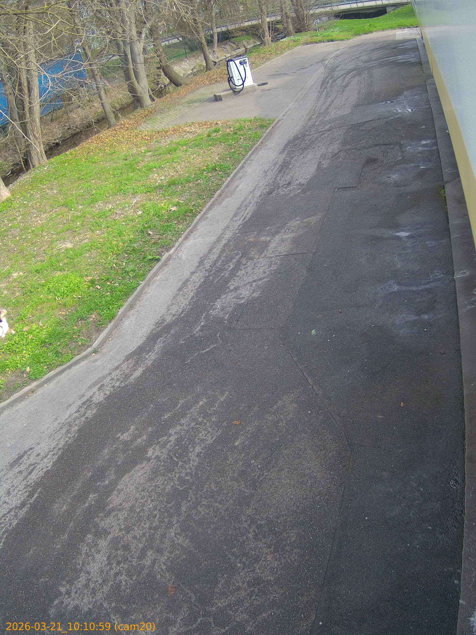 thumbnail_202603211010