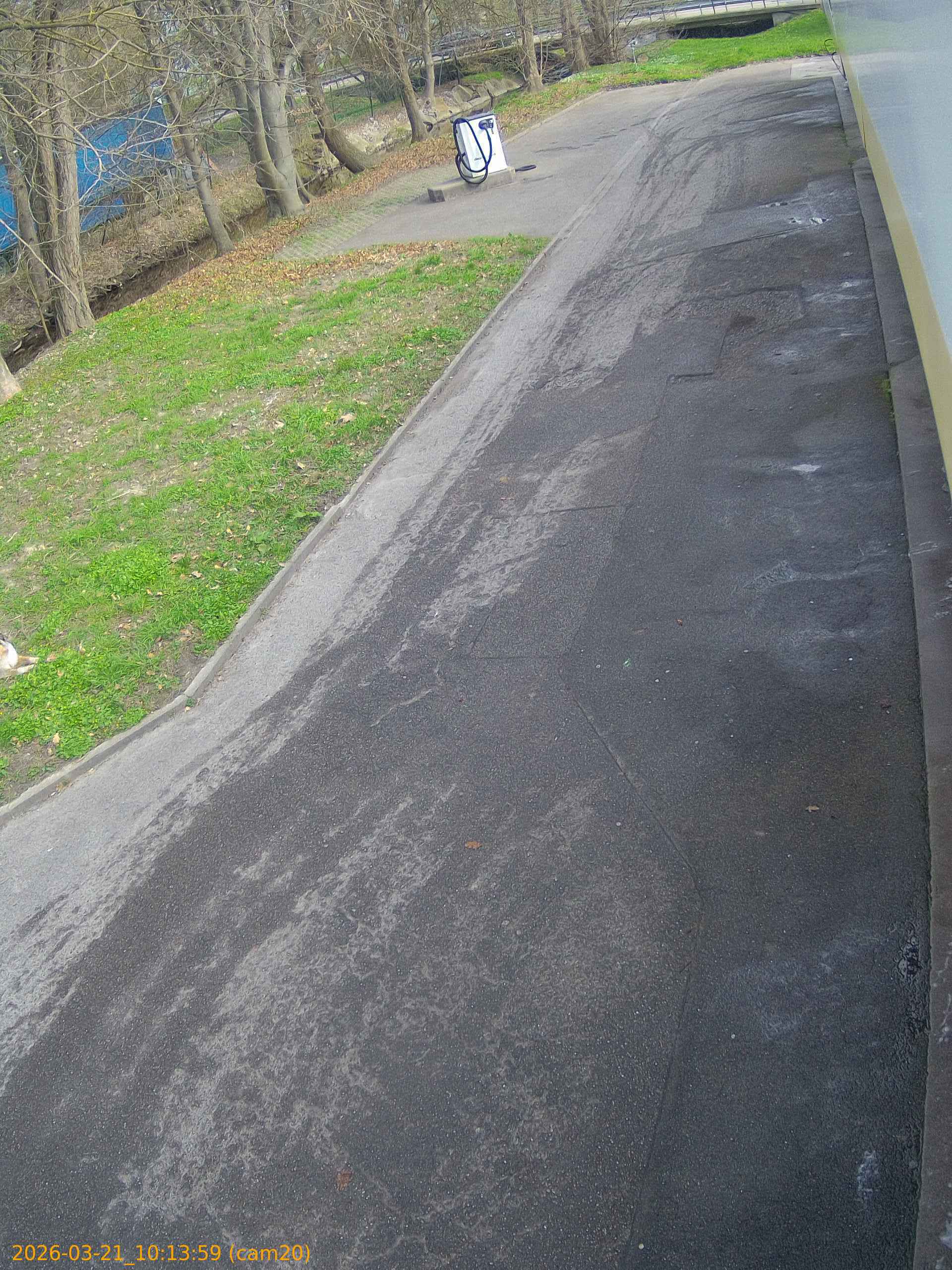 thumbnail_202603211013