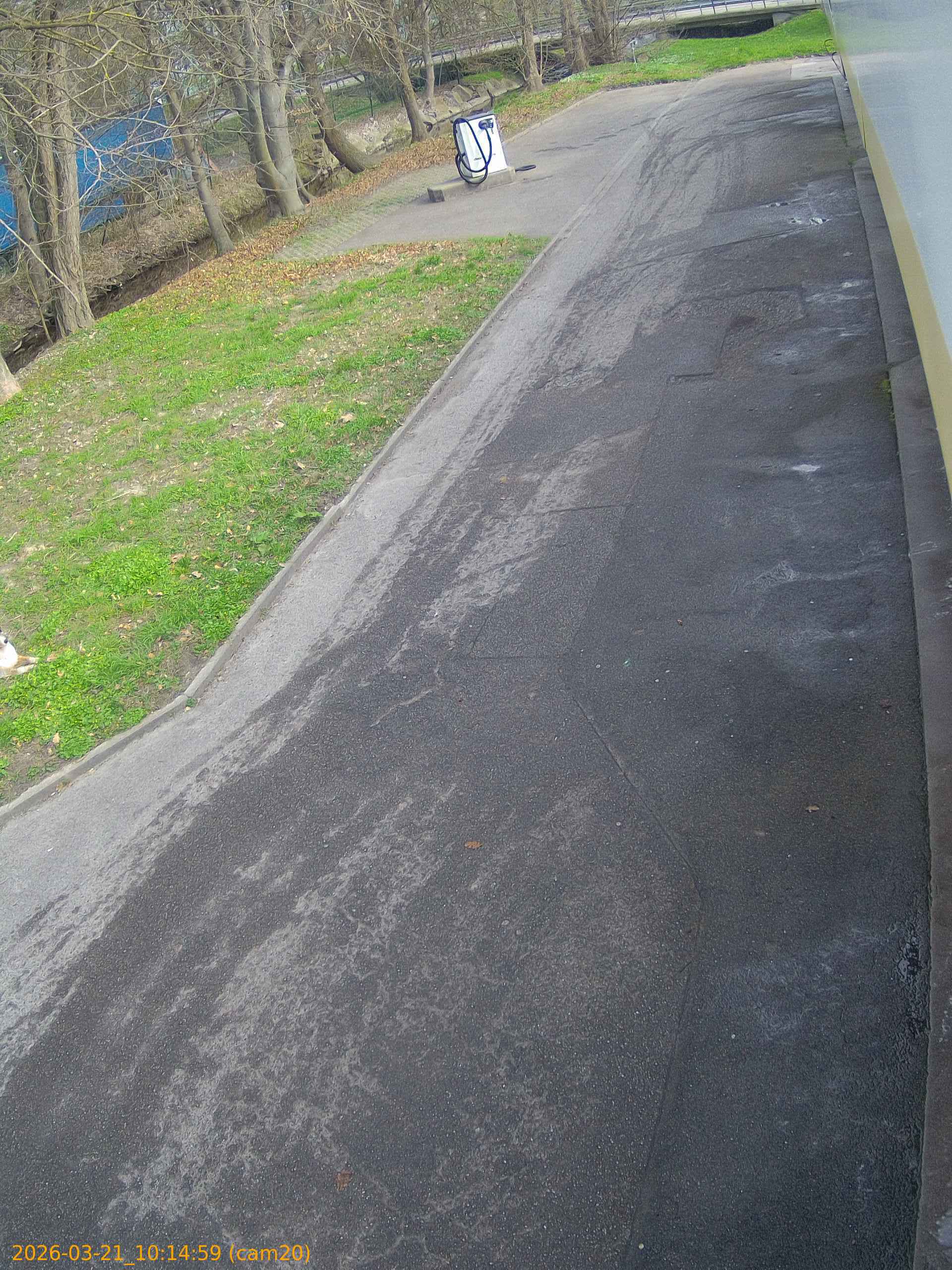 thumbnail_202603211014