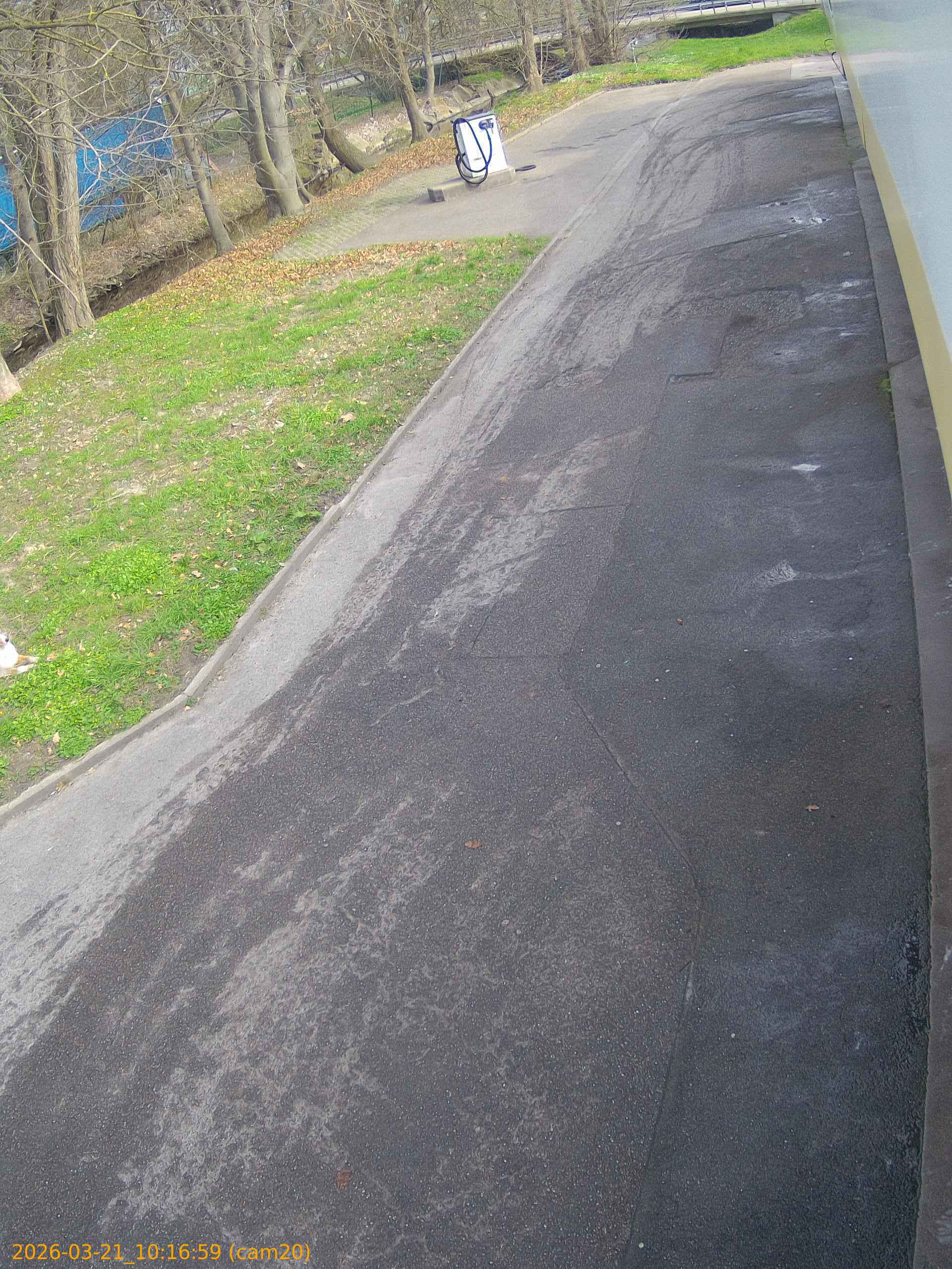 thumbnail_202603211016