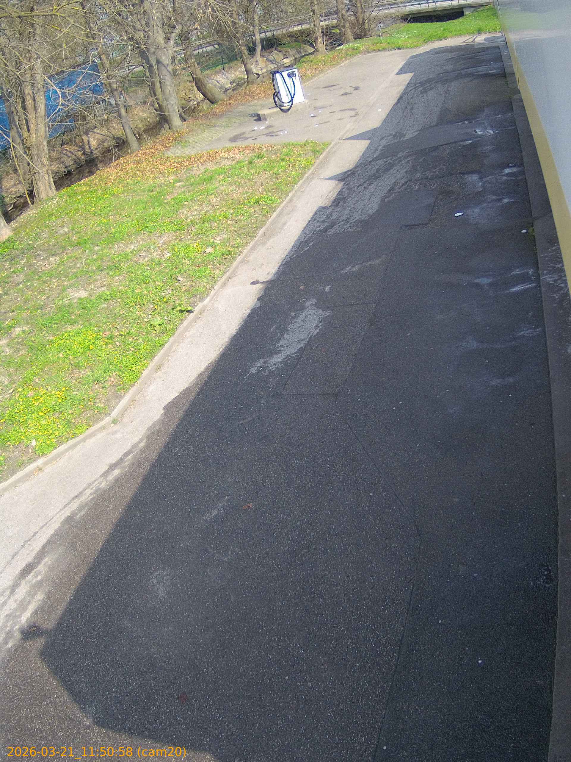 thumbnail_202603211150