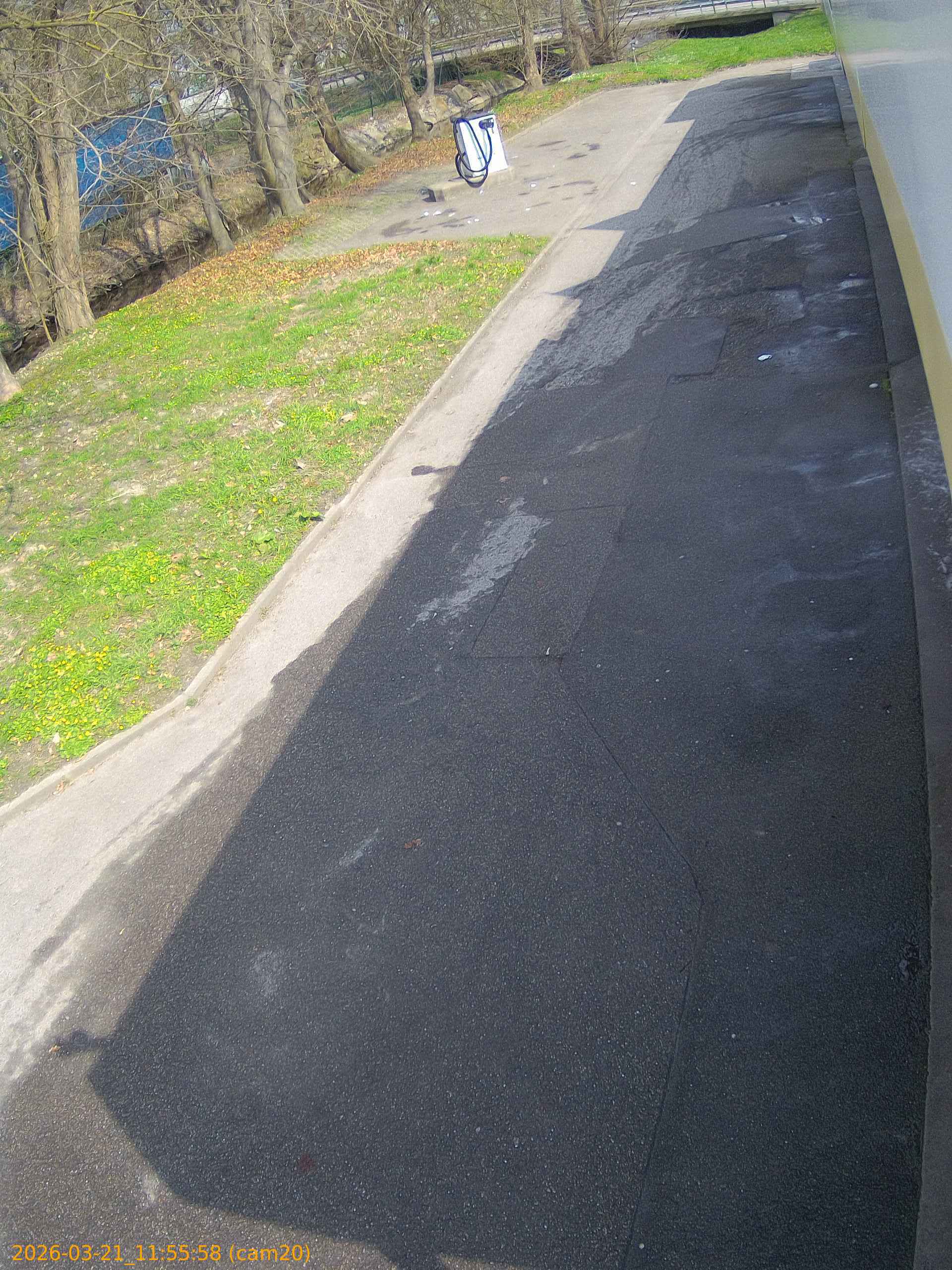 thumbnail_202603211155