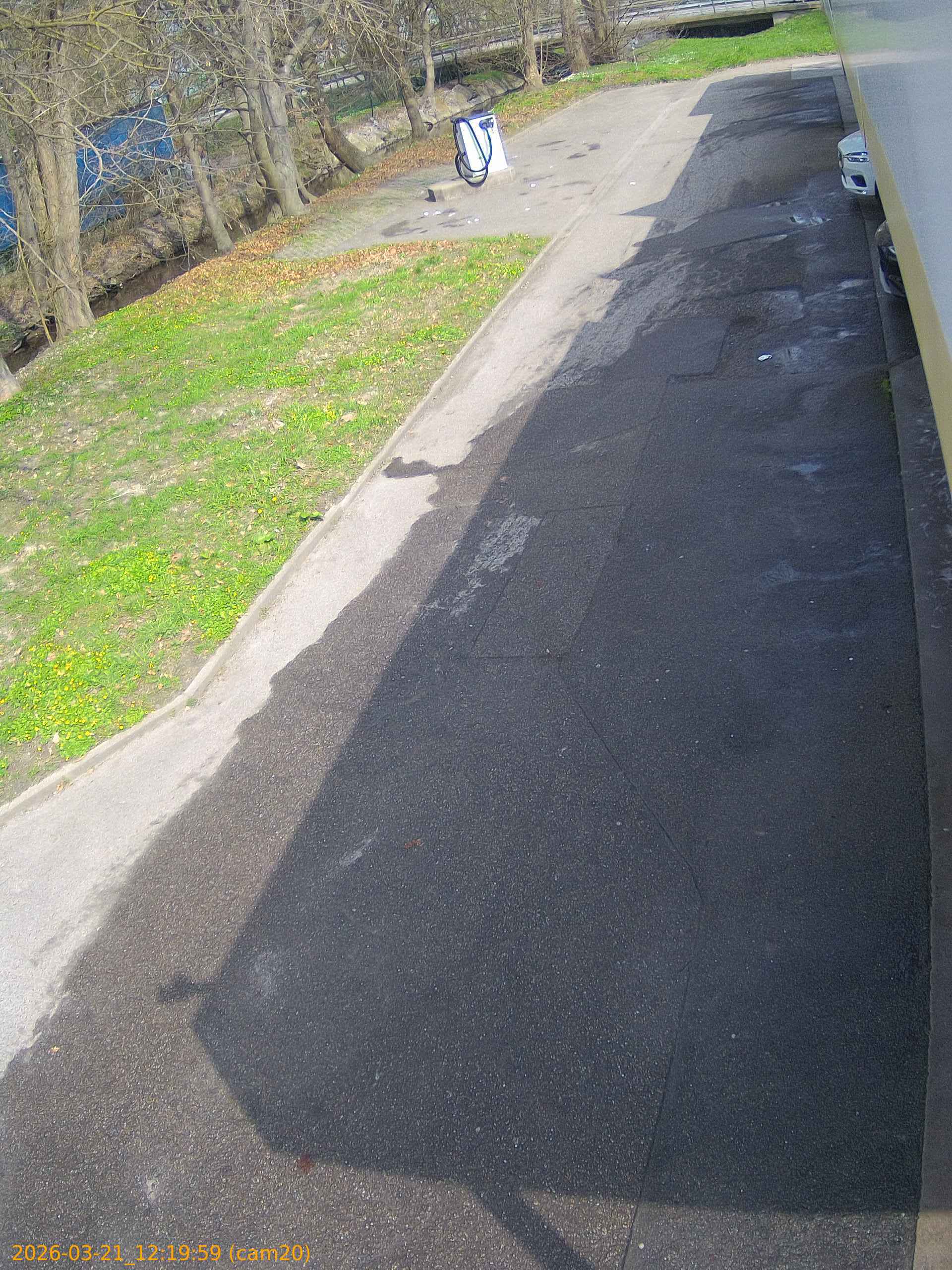 thumbnail_202603211219