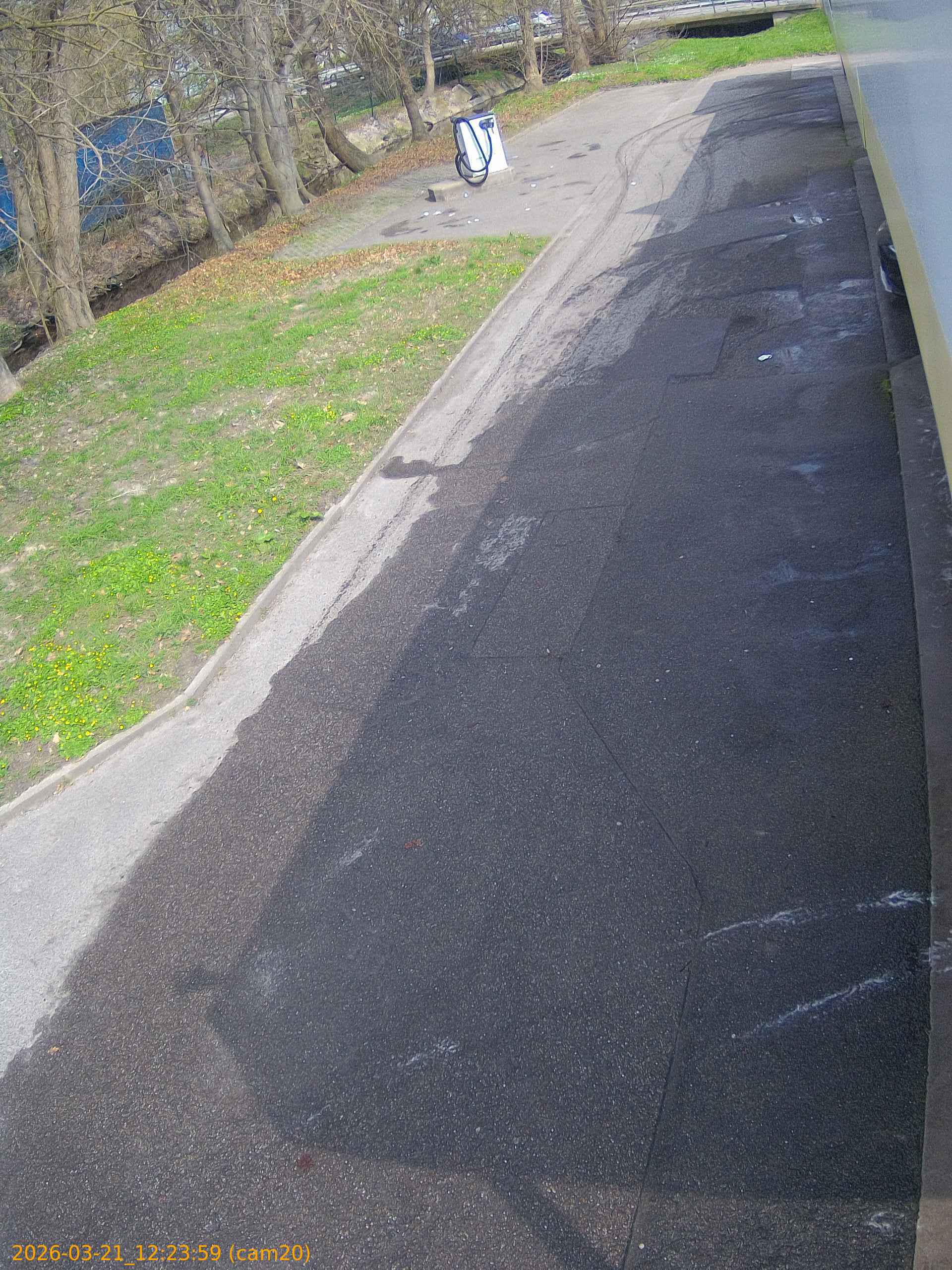 thumbnail_202603211223