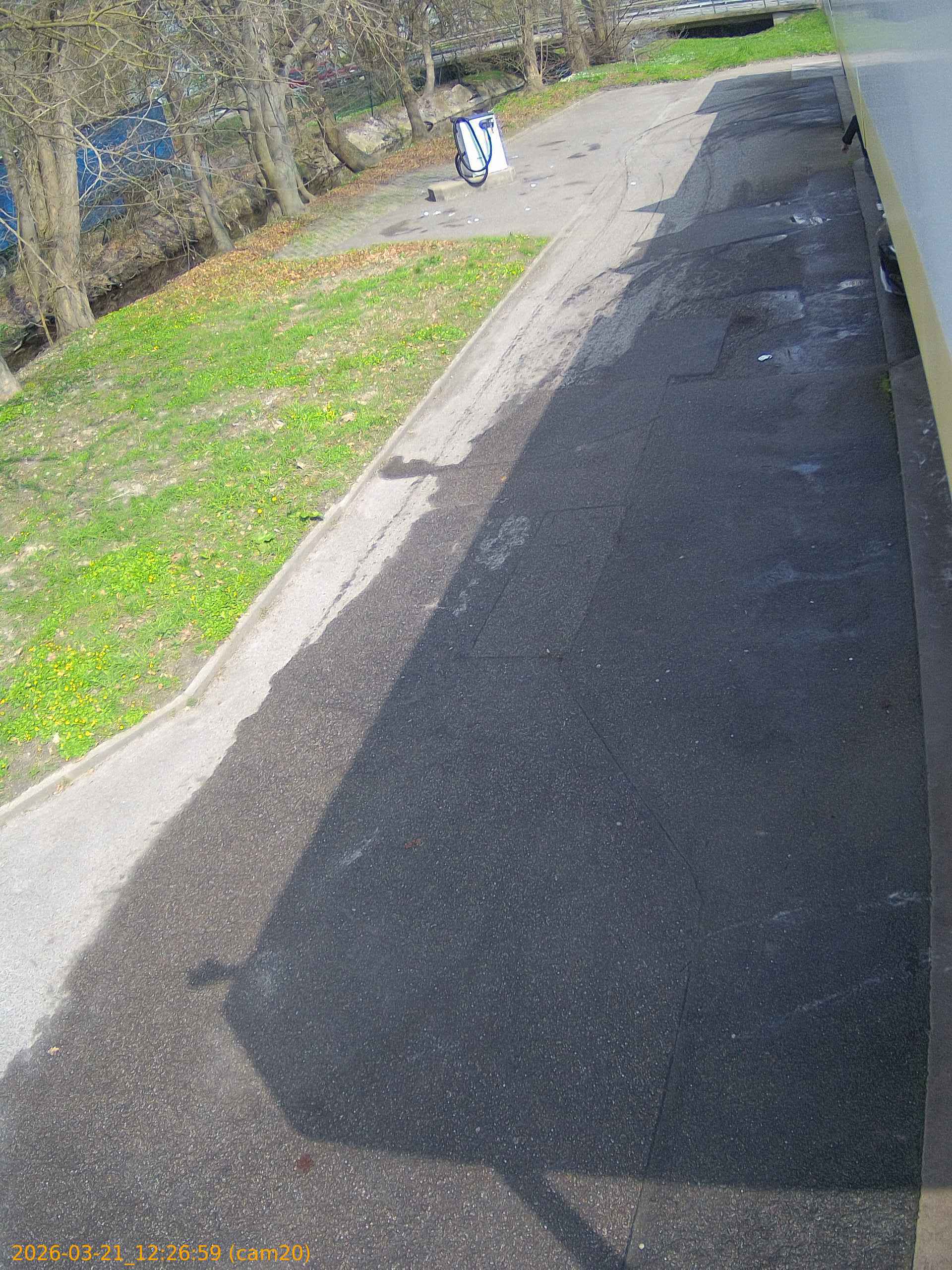 thumbnail_202603211226