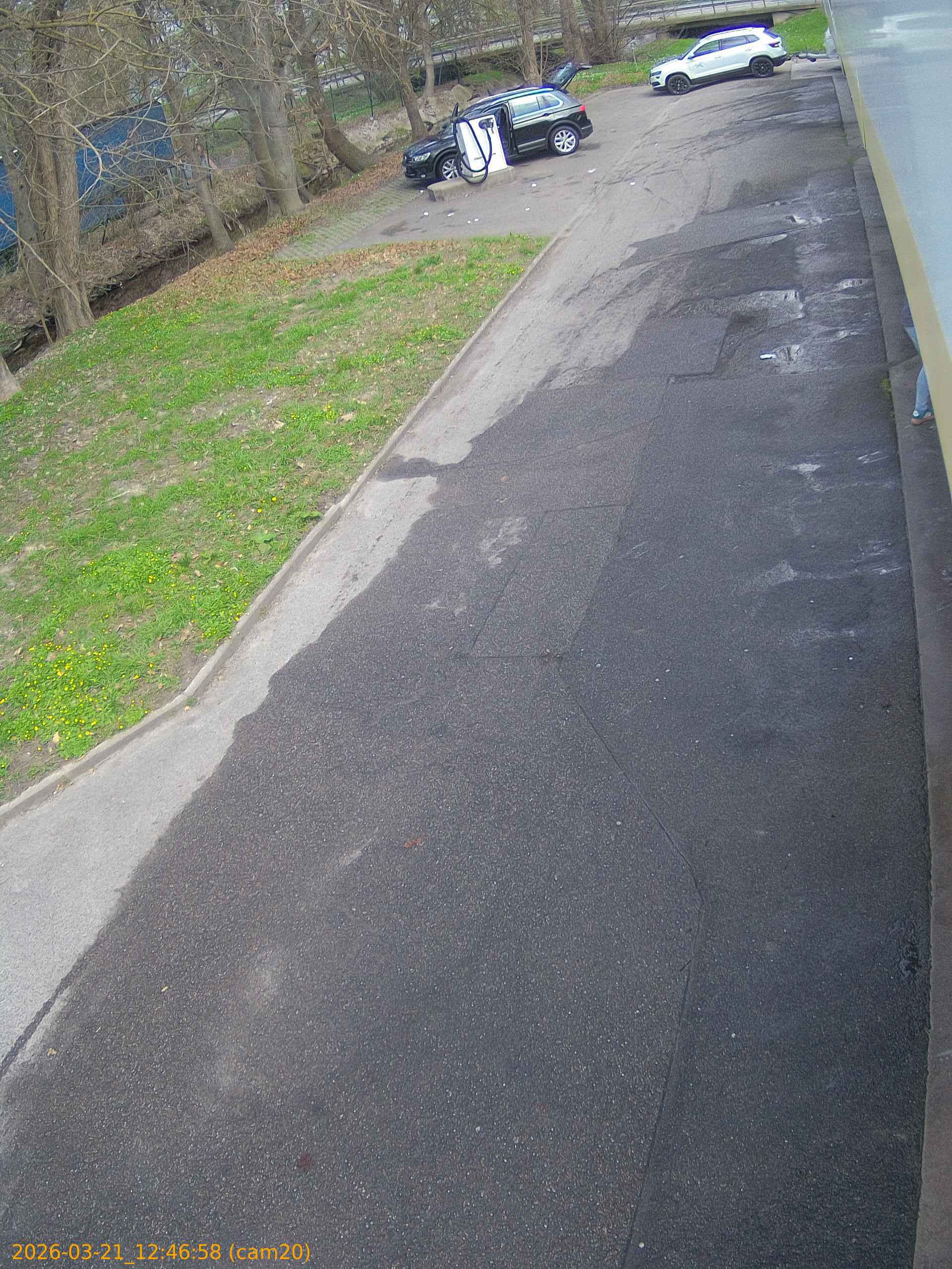 thumbnail_202603211246