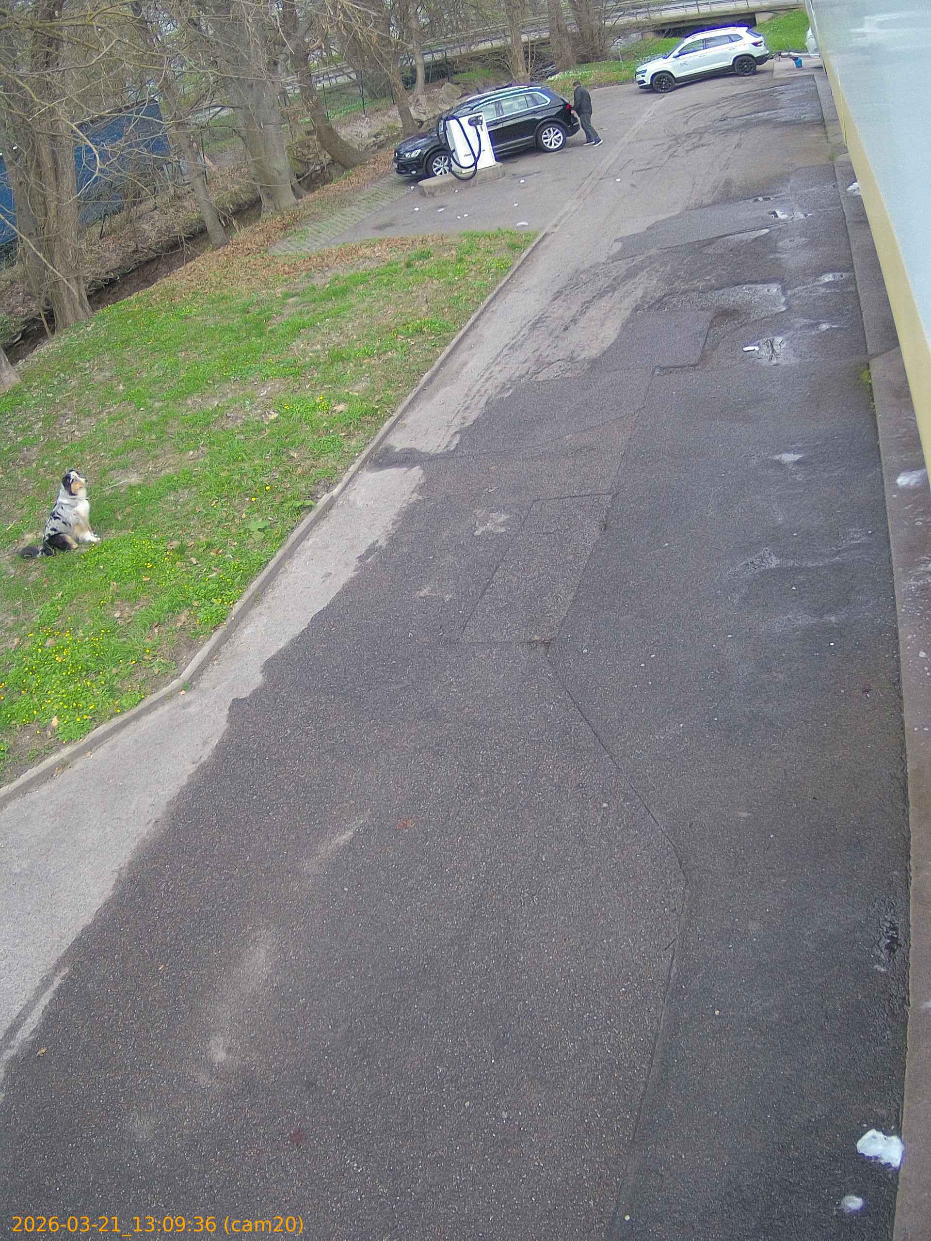 thumbnail_20260321130936