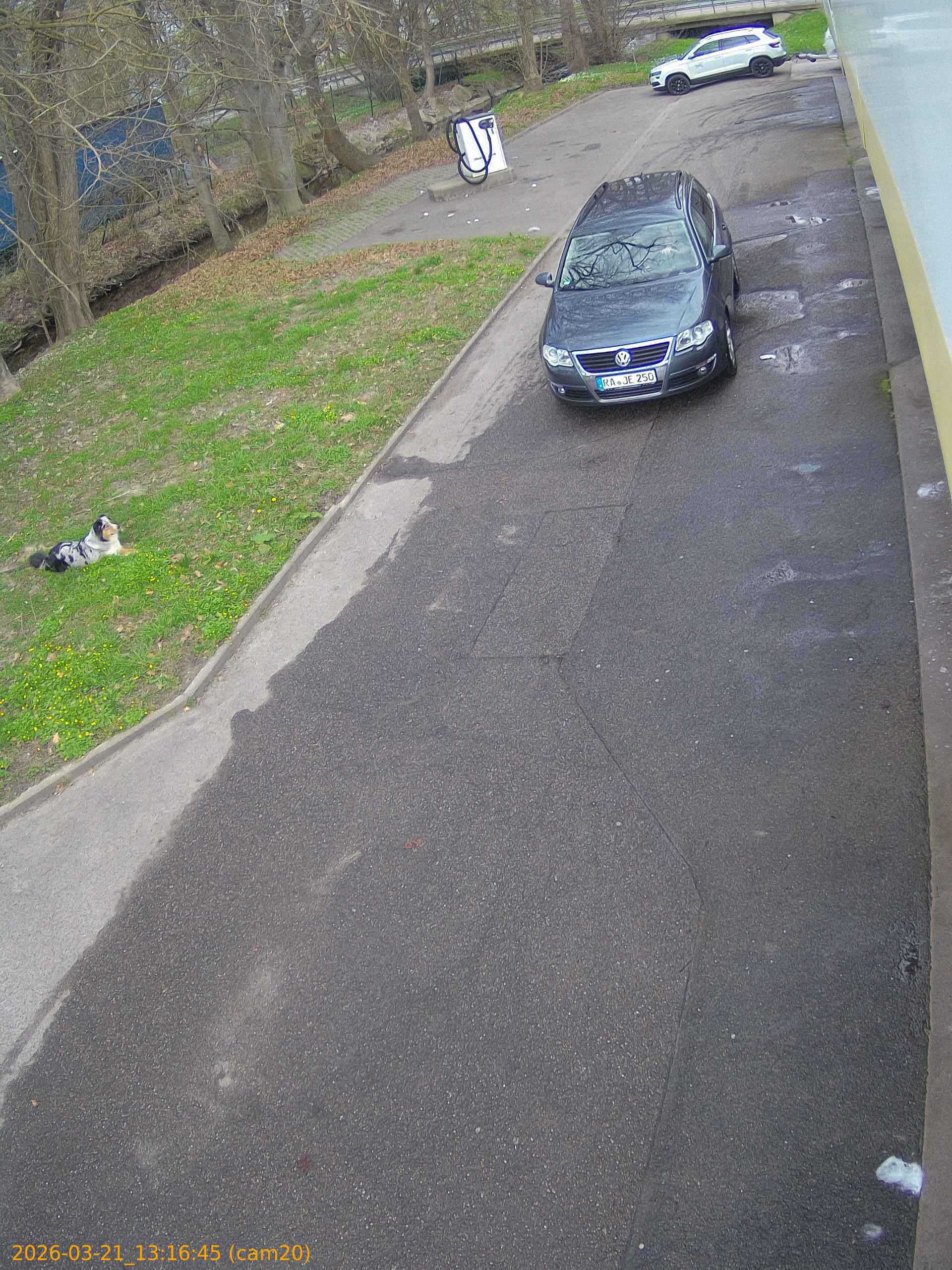 thumbnail_20260321131645