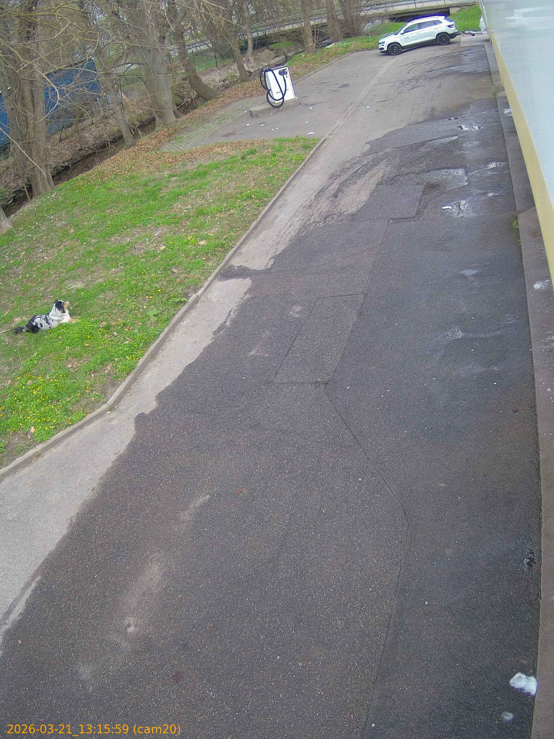 thumbnail_202603211315