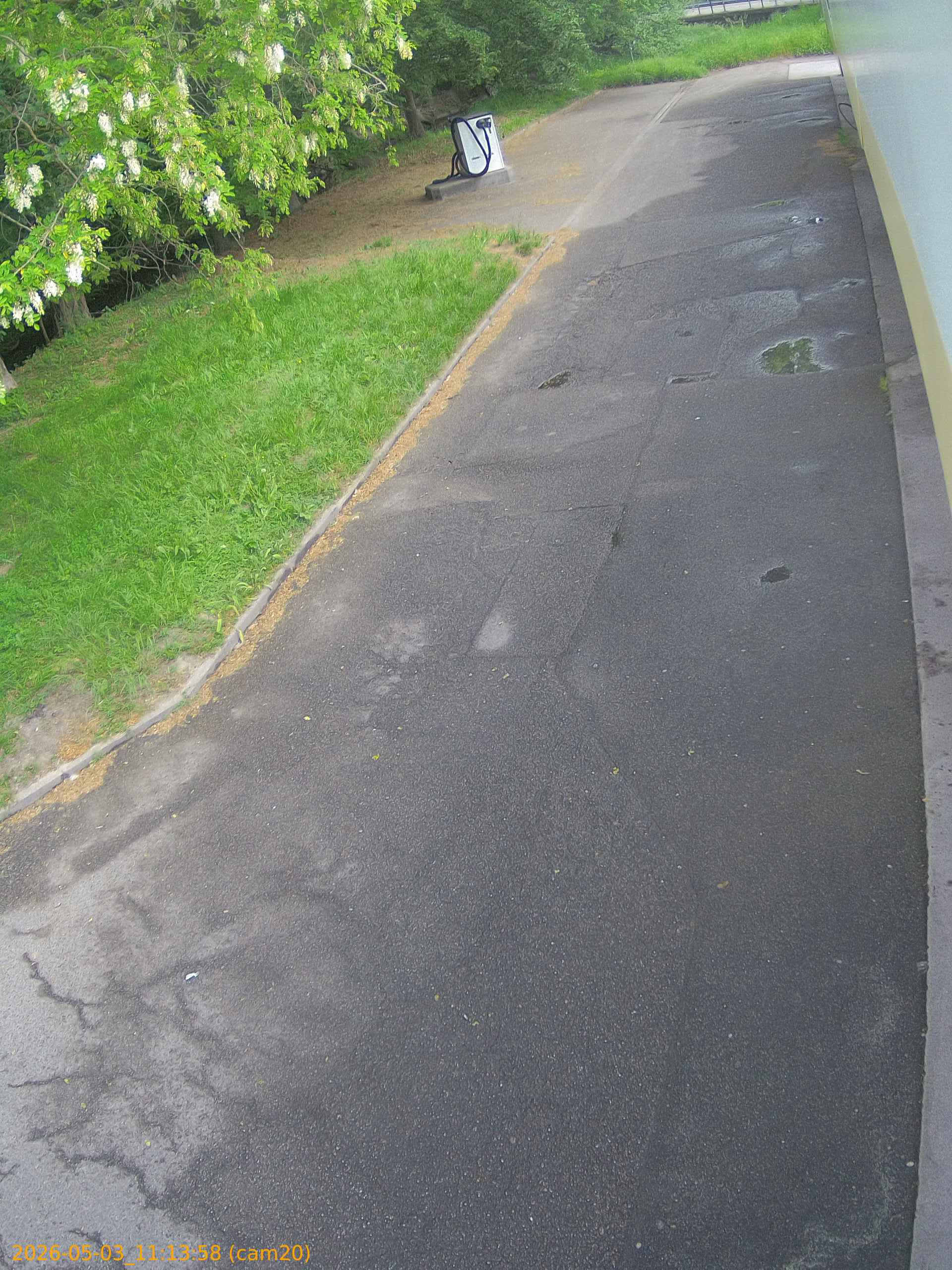 202605031113