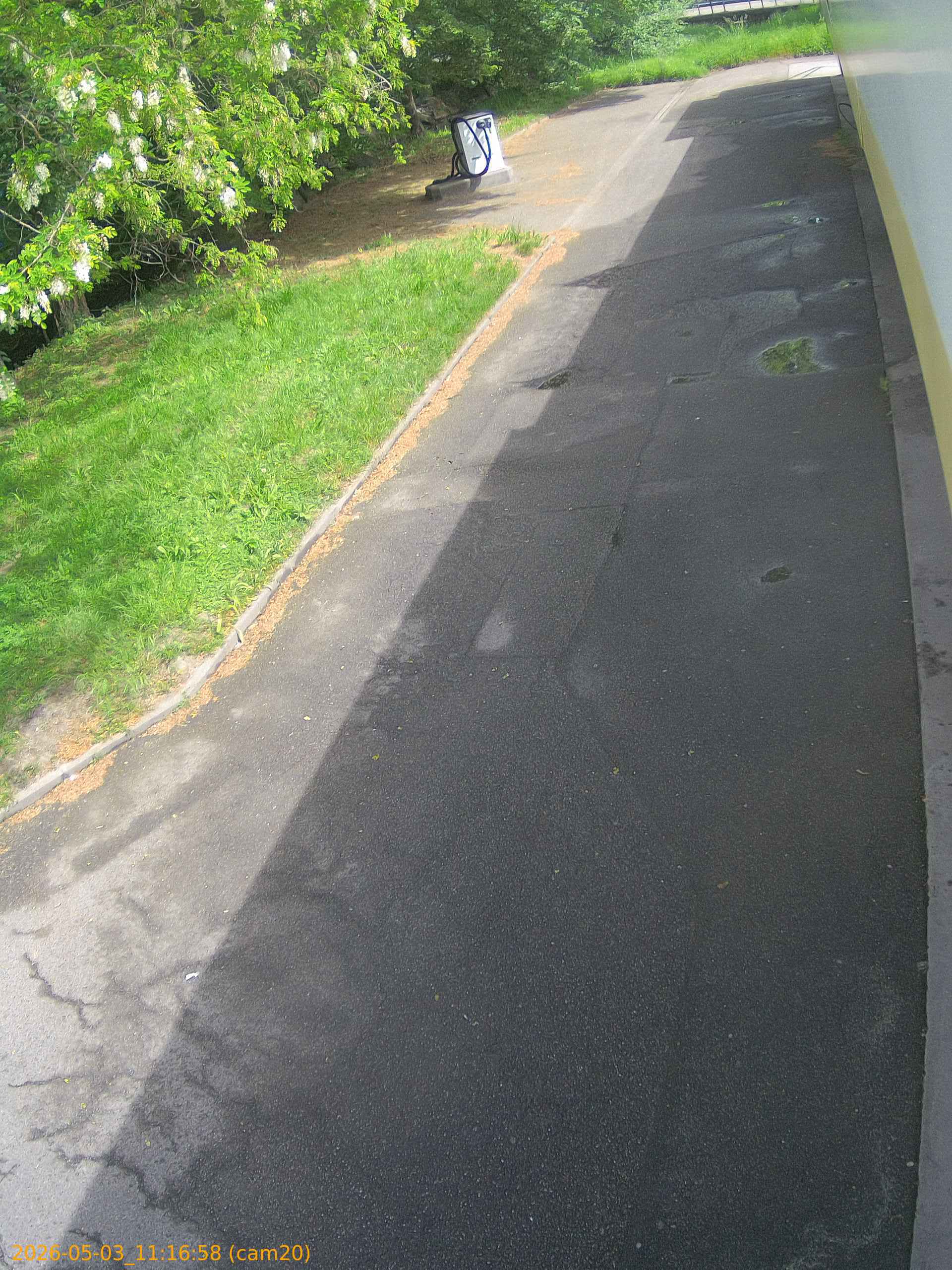 thumbnail_202605031116