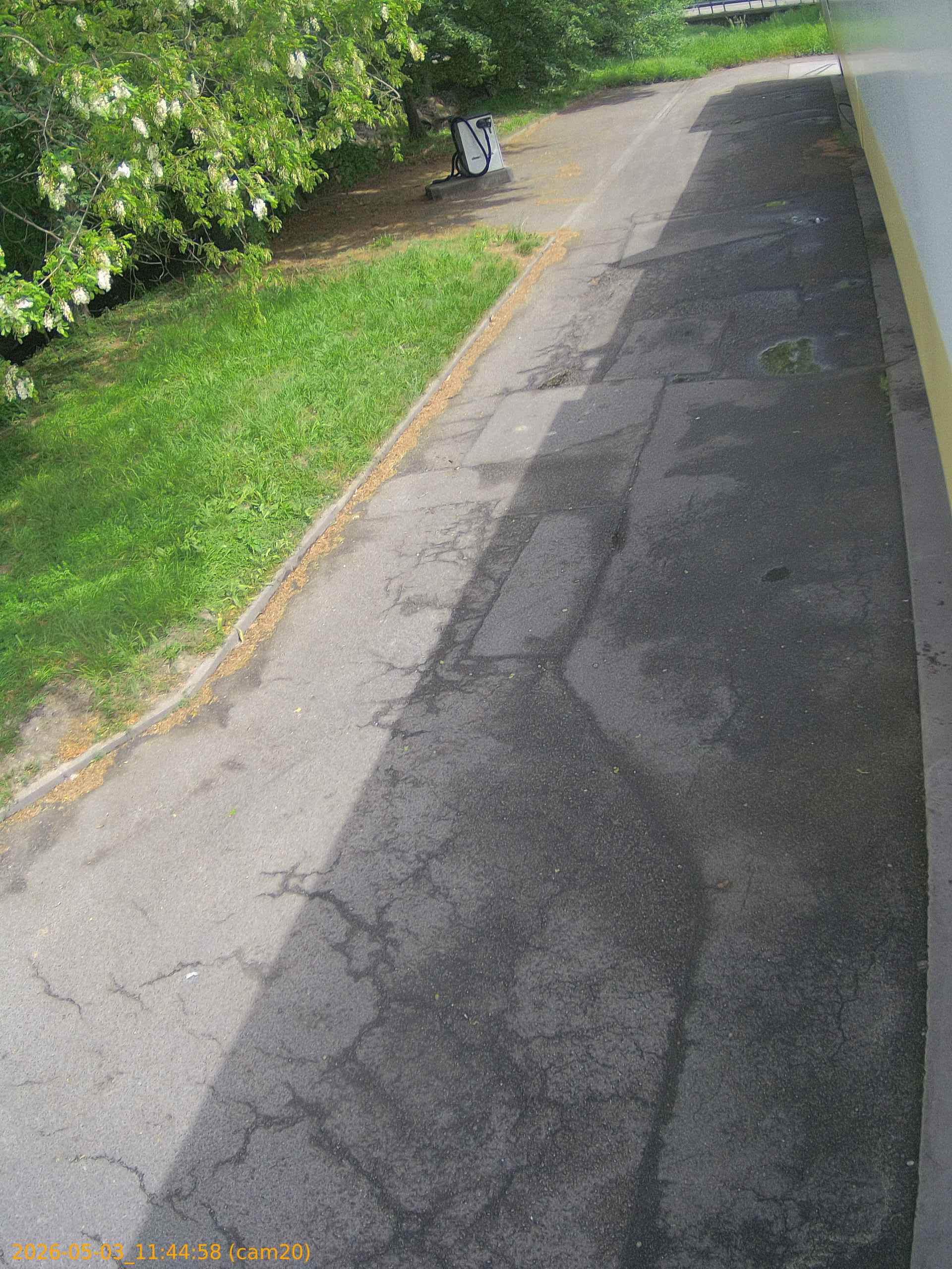 thumbnail_202605031144