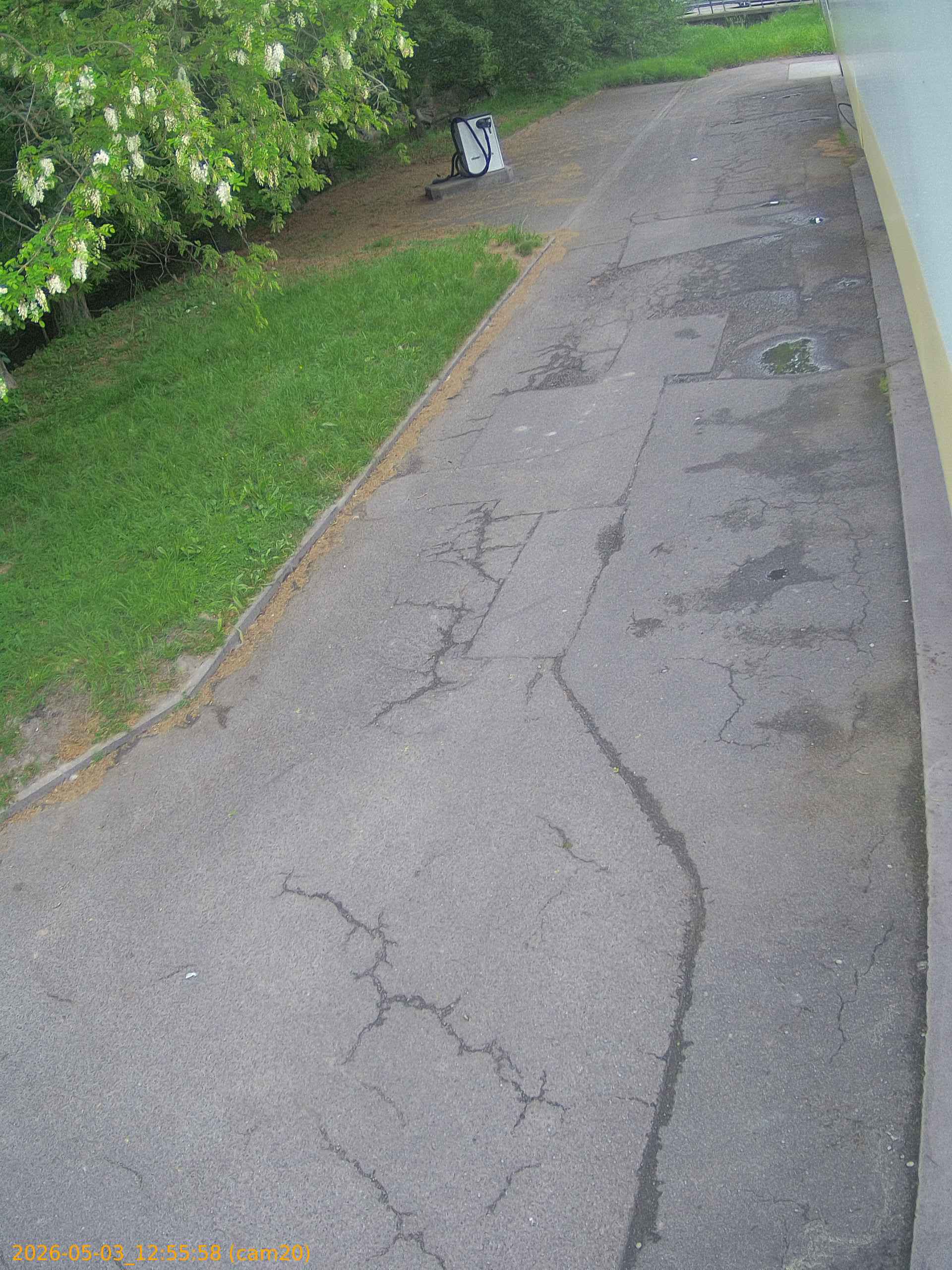 202605031255