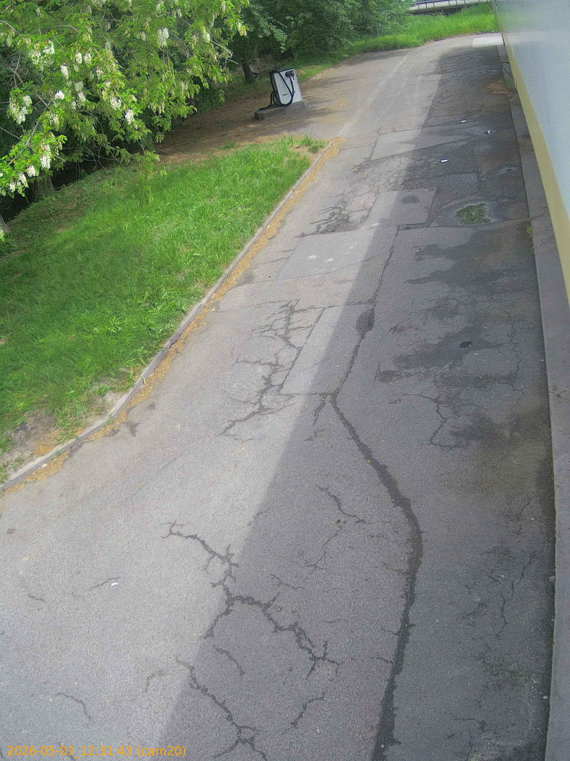 20260503123143