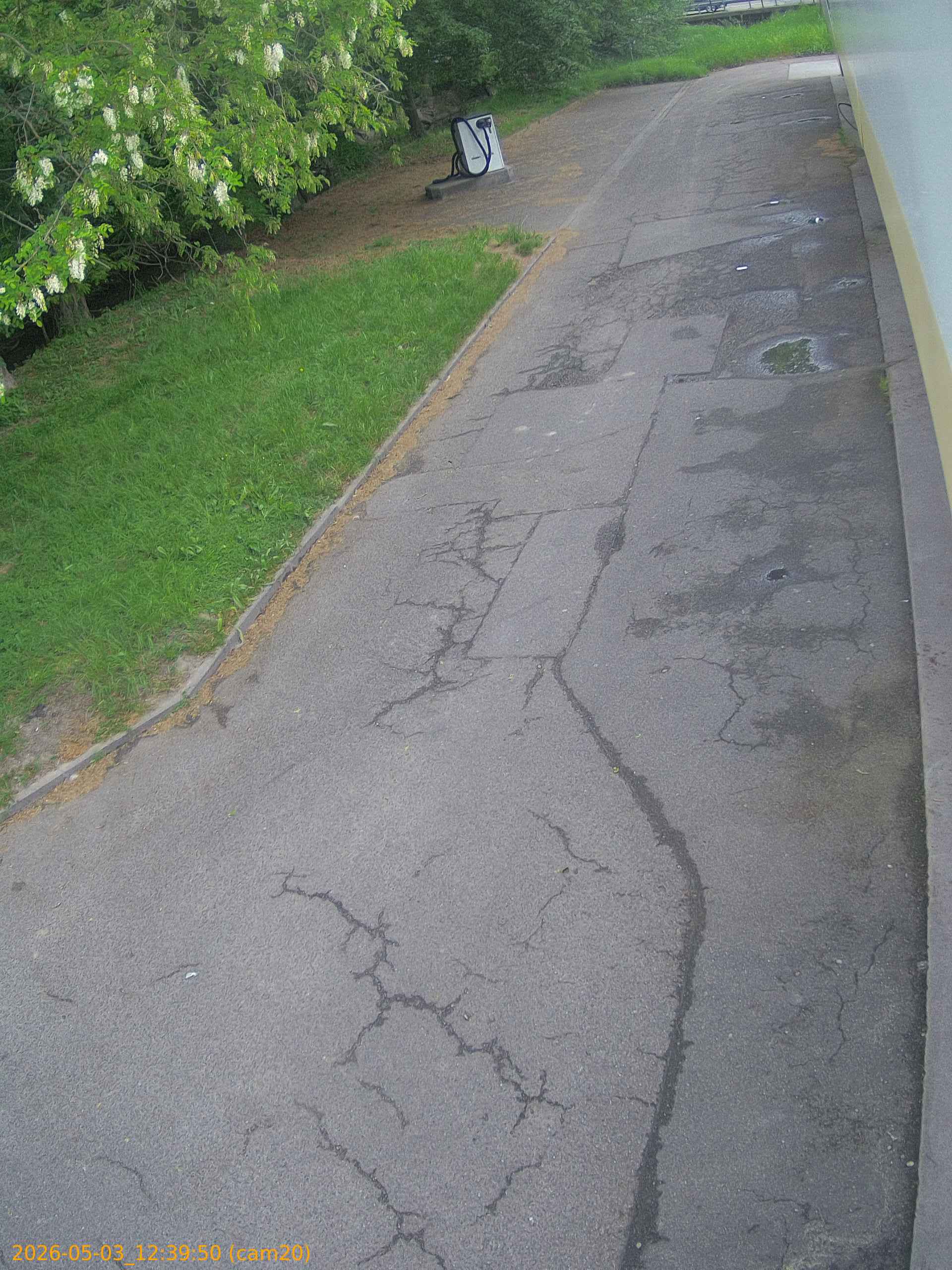 20260503123950