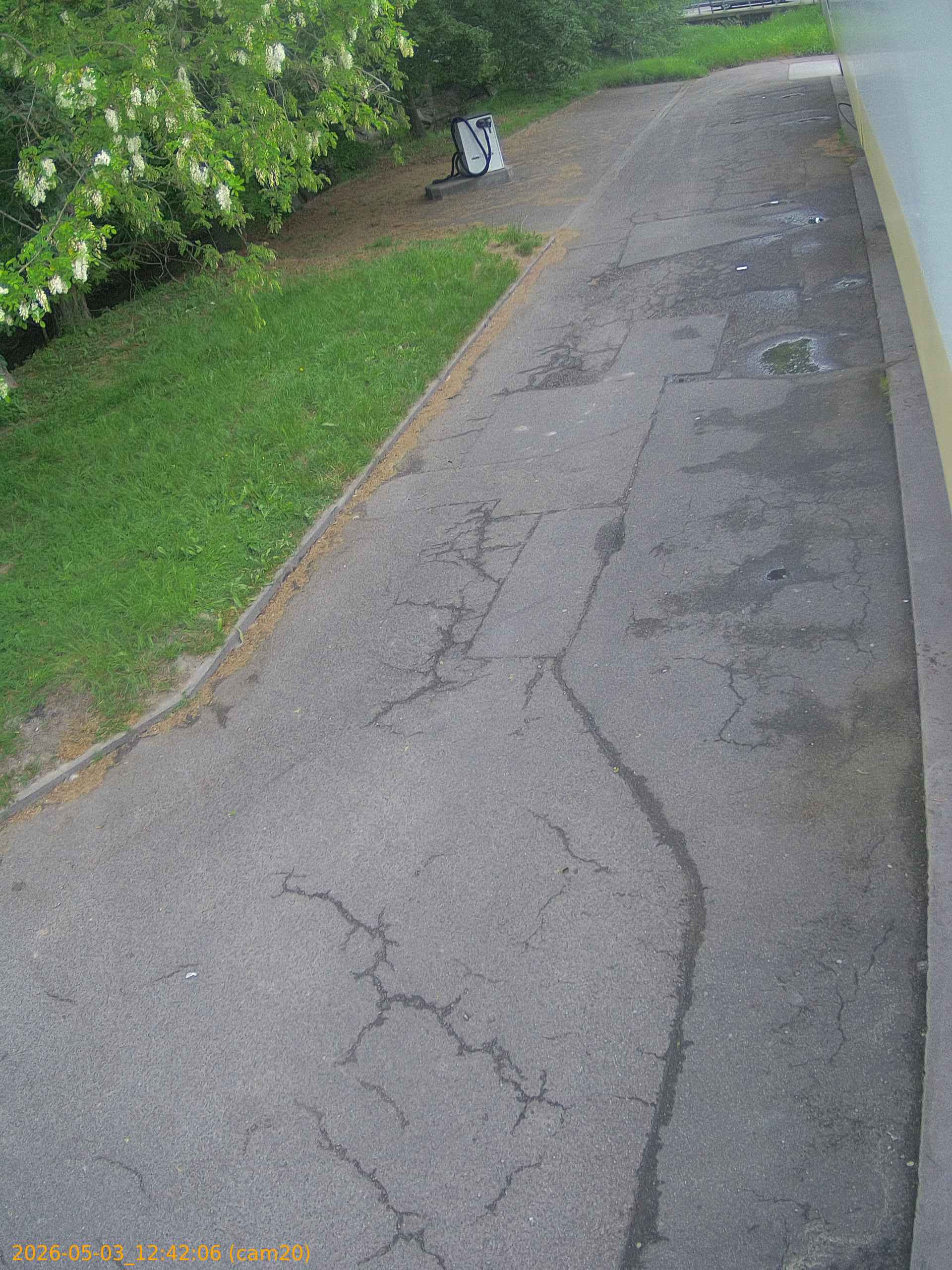 20260503124206