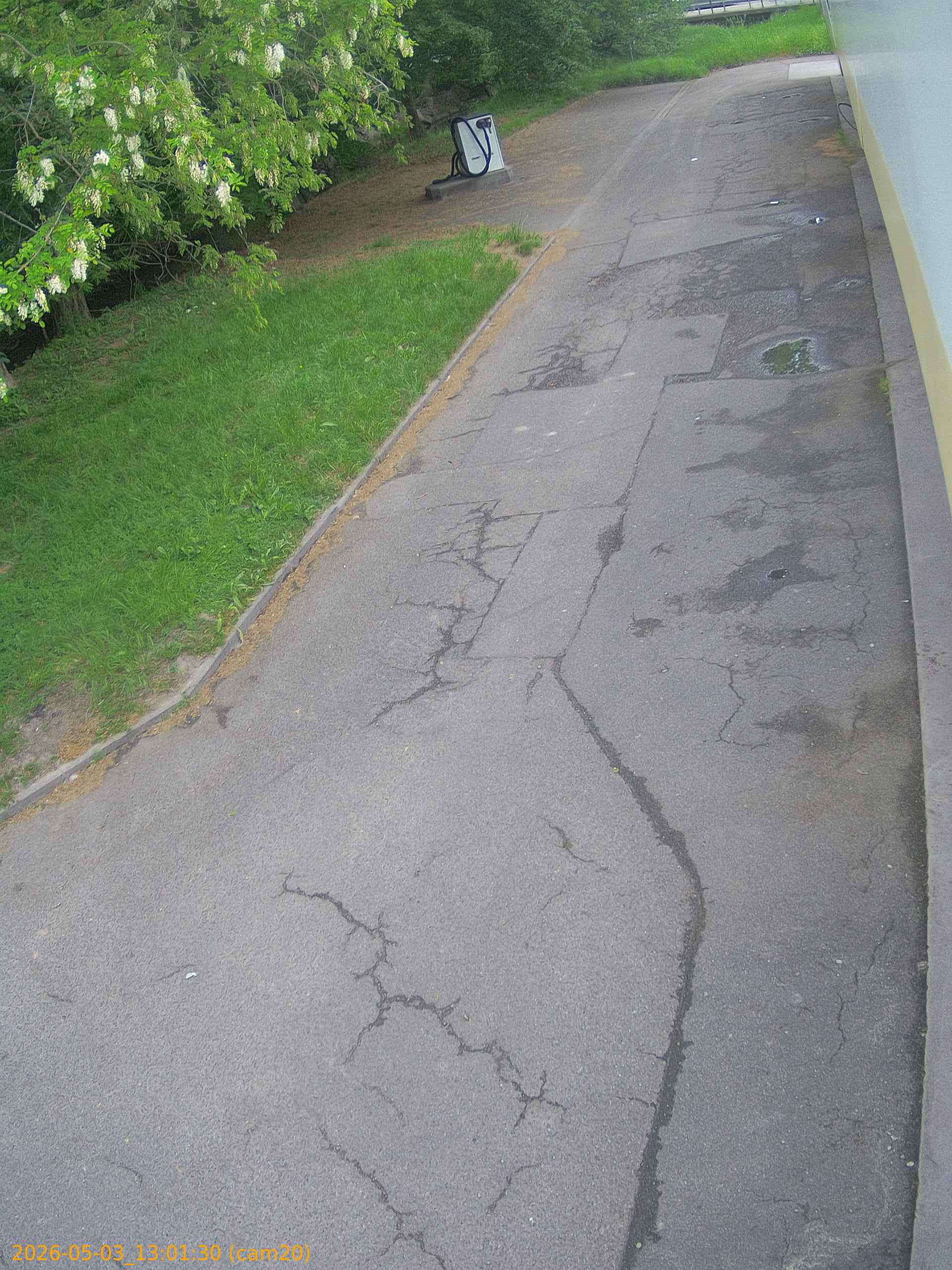 20260503130130