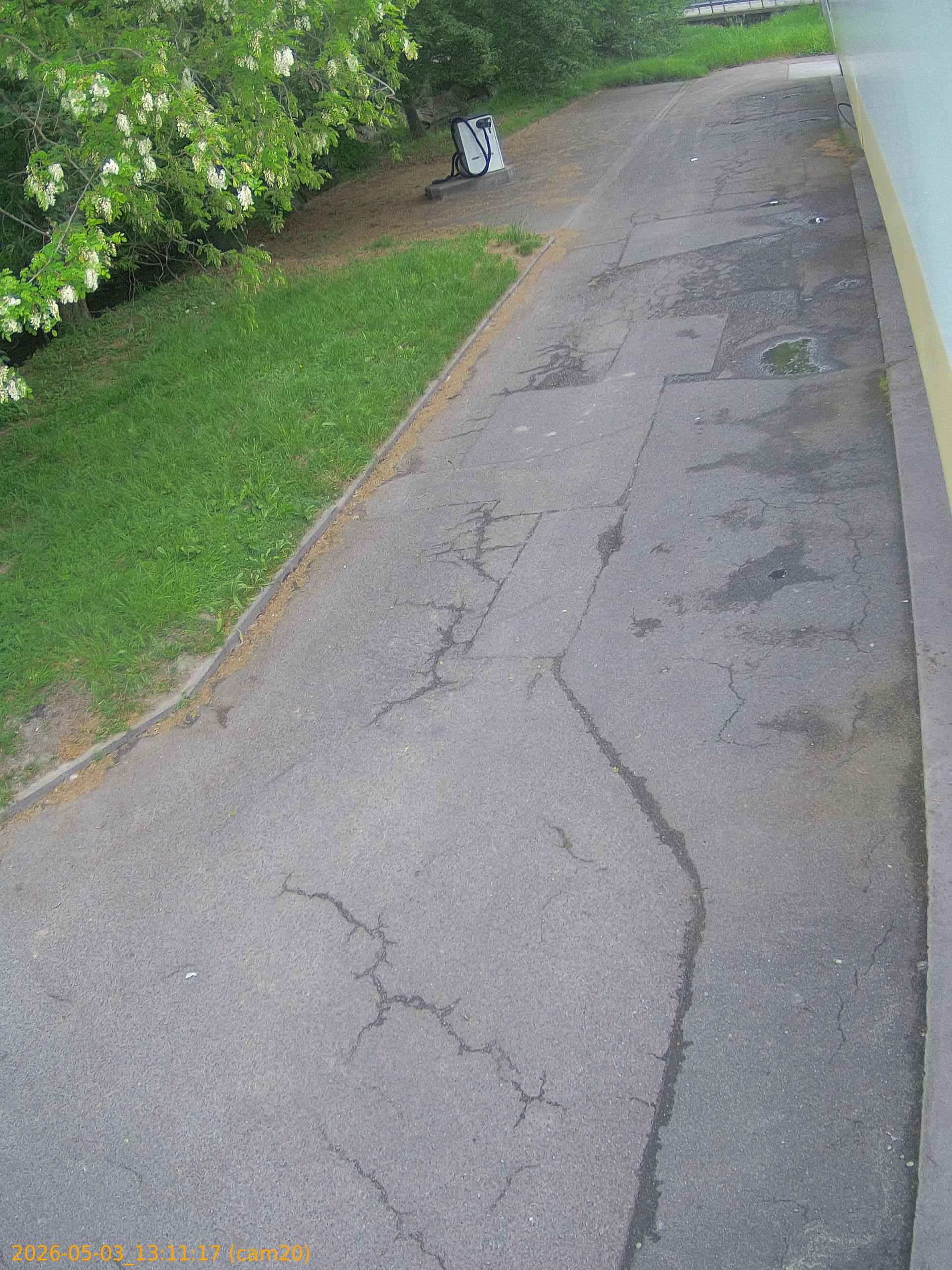 20260503131117