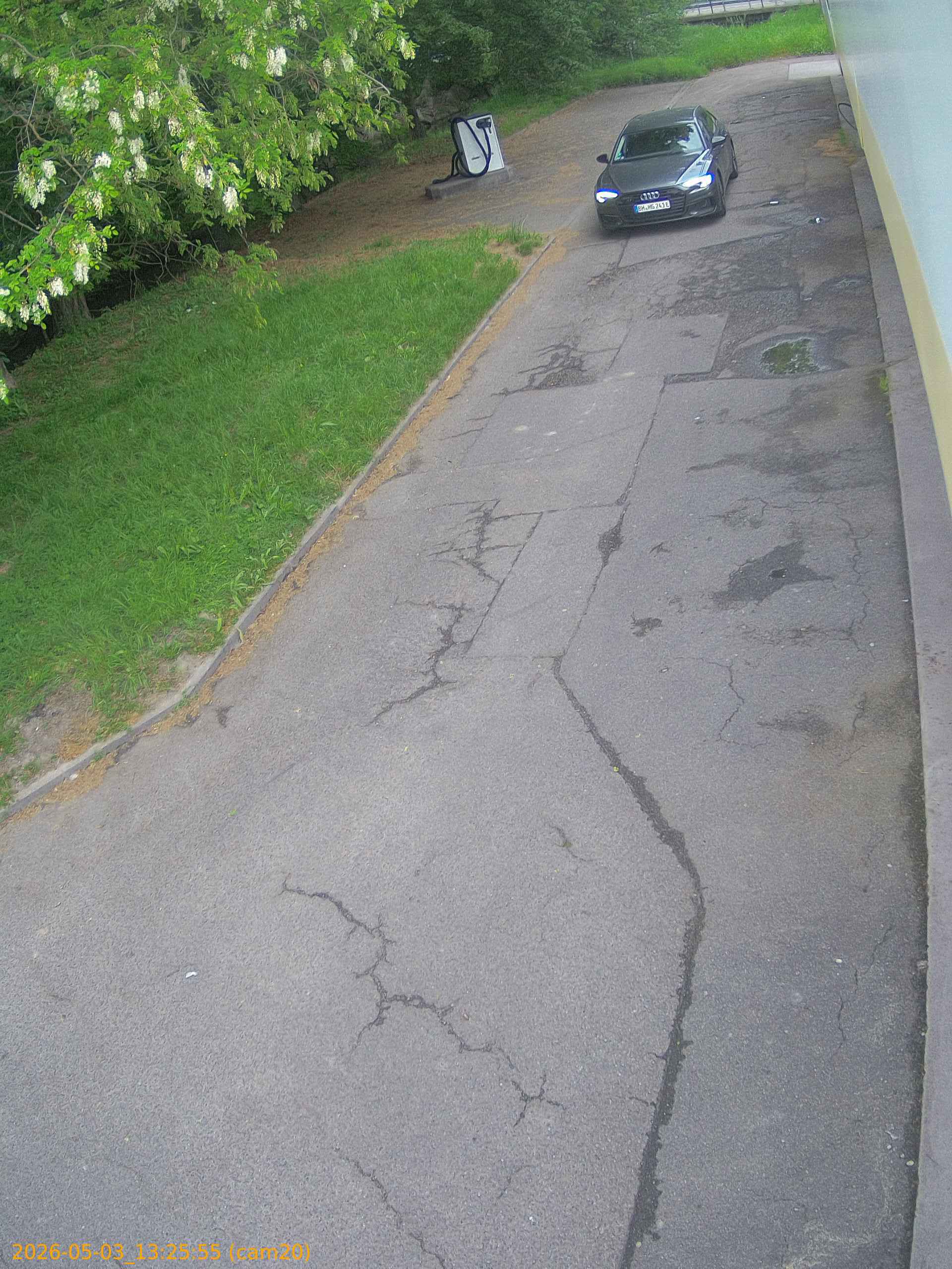 202605031325