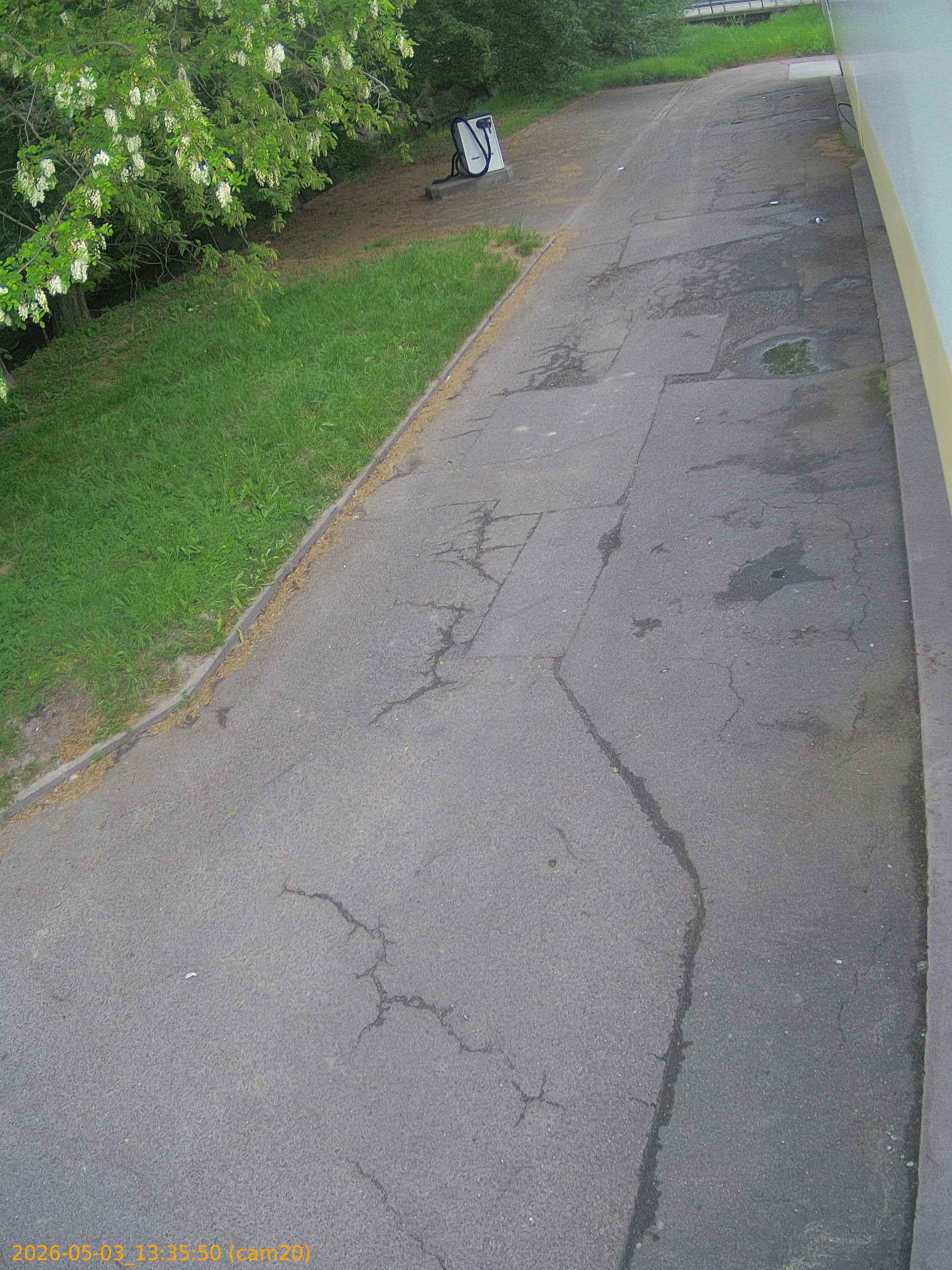 202605031335