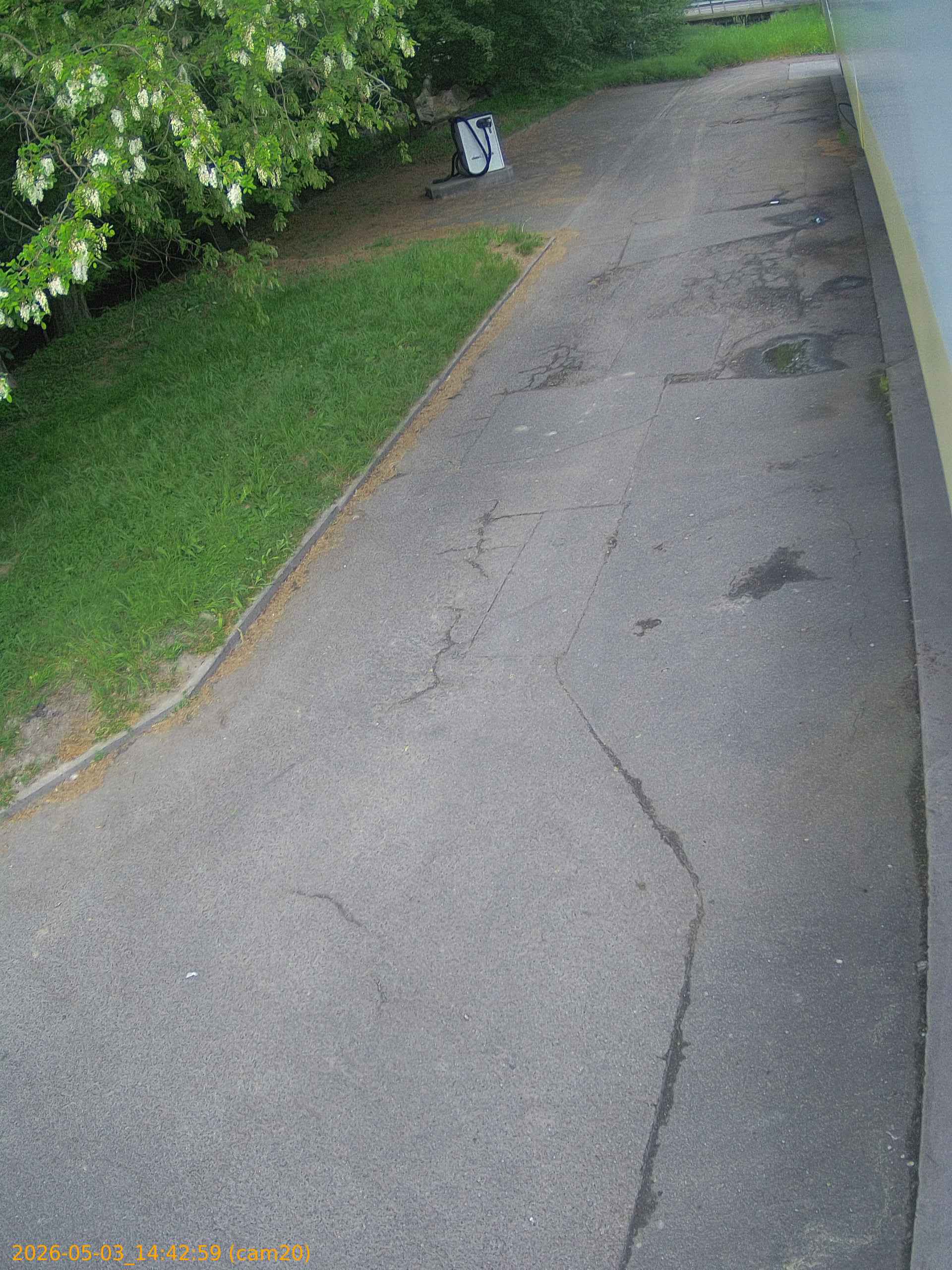 202605031442