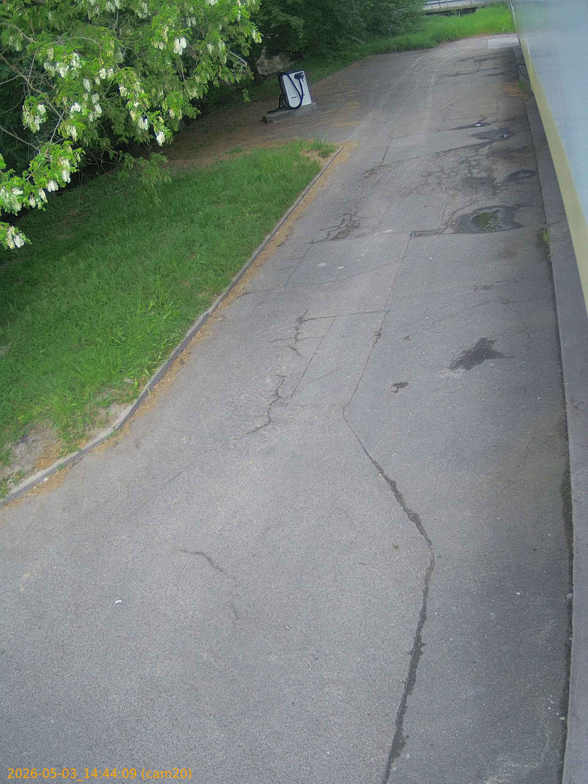 202605031443