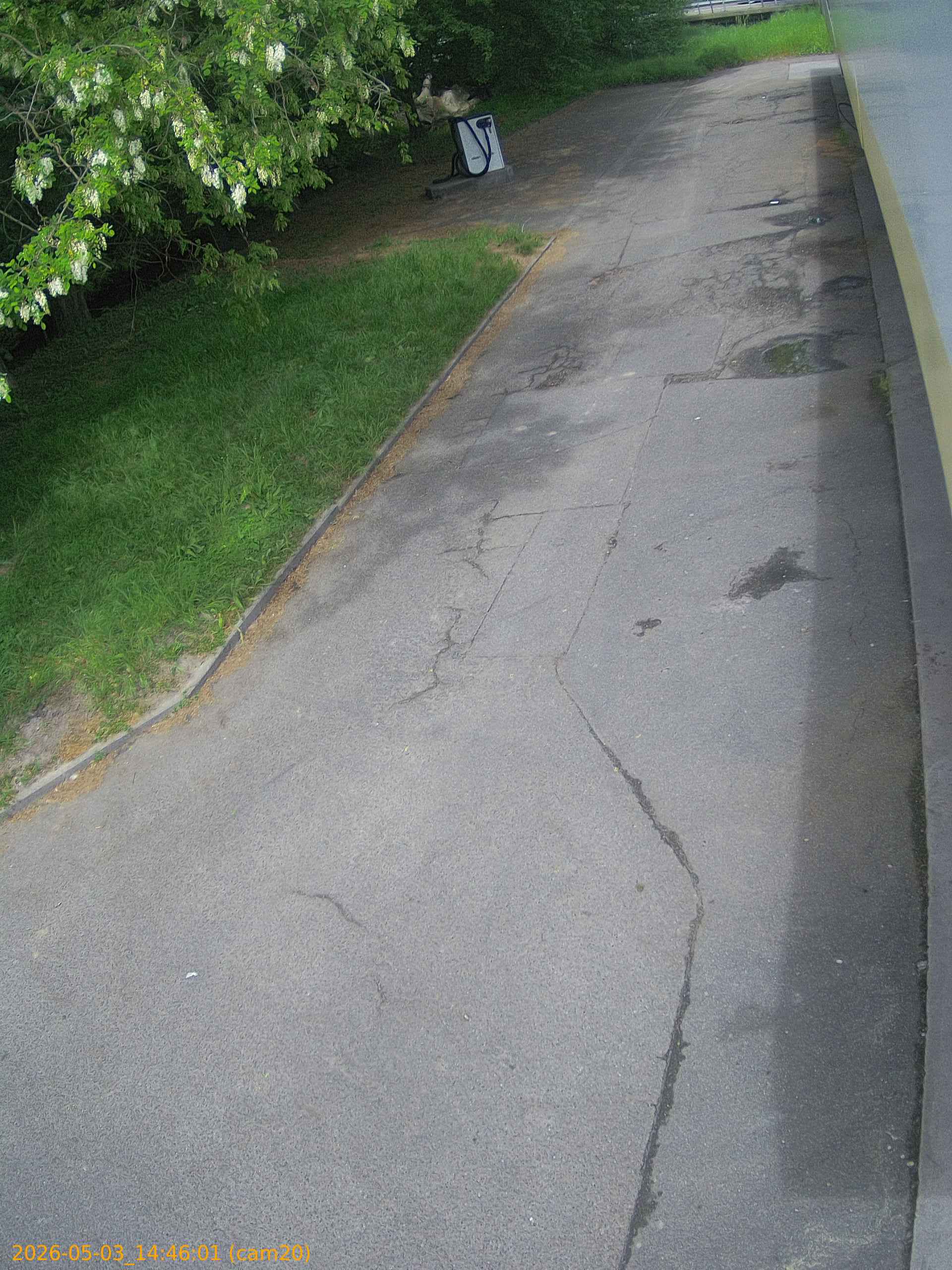 202605031445