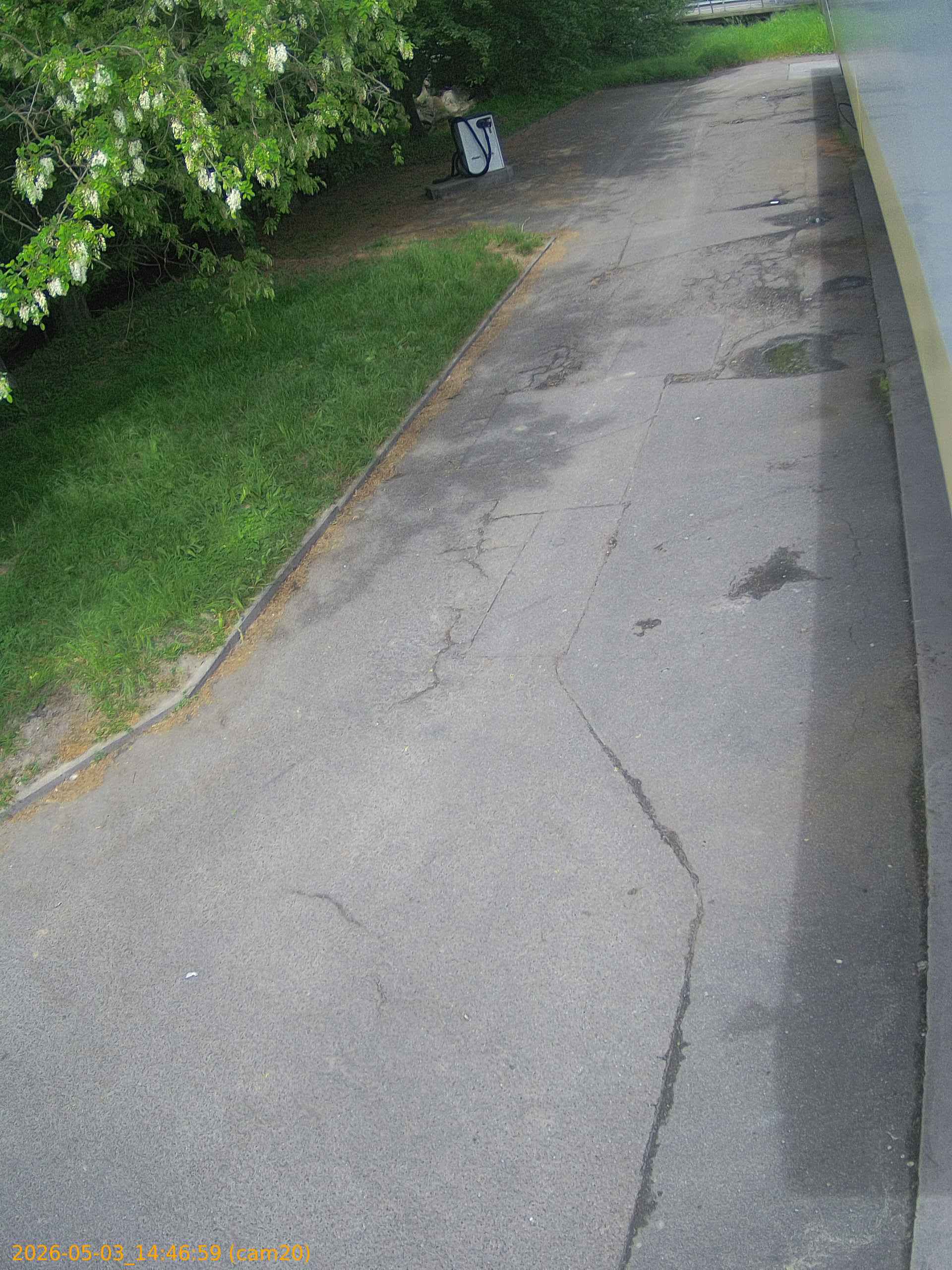 202605031446