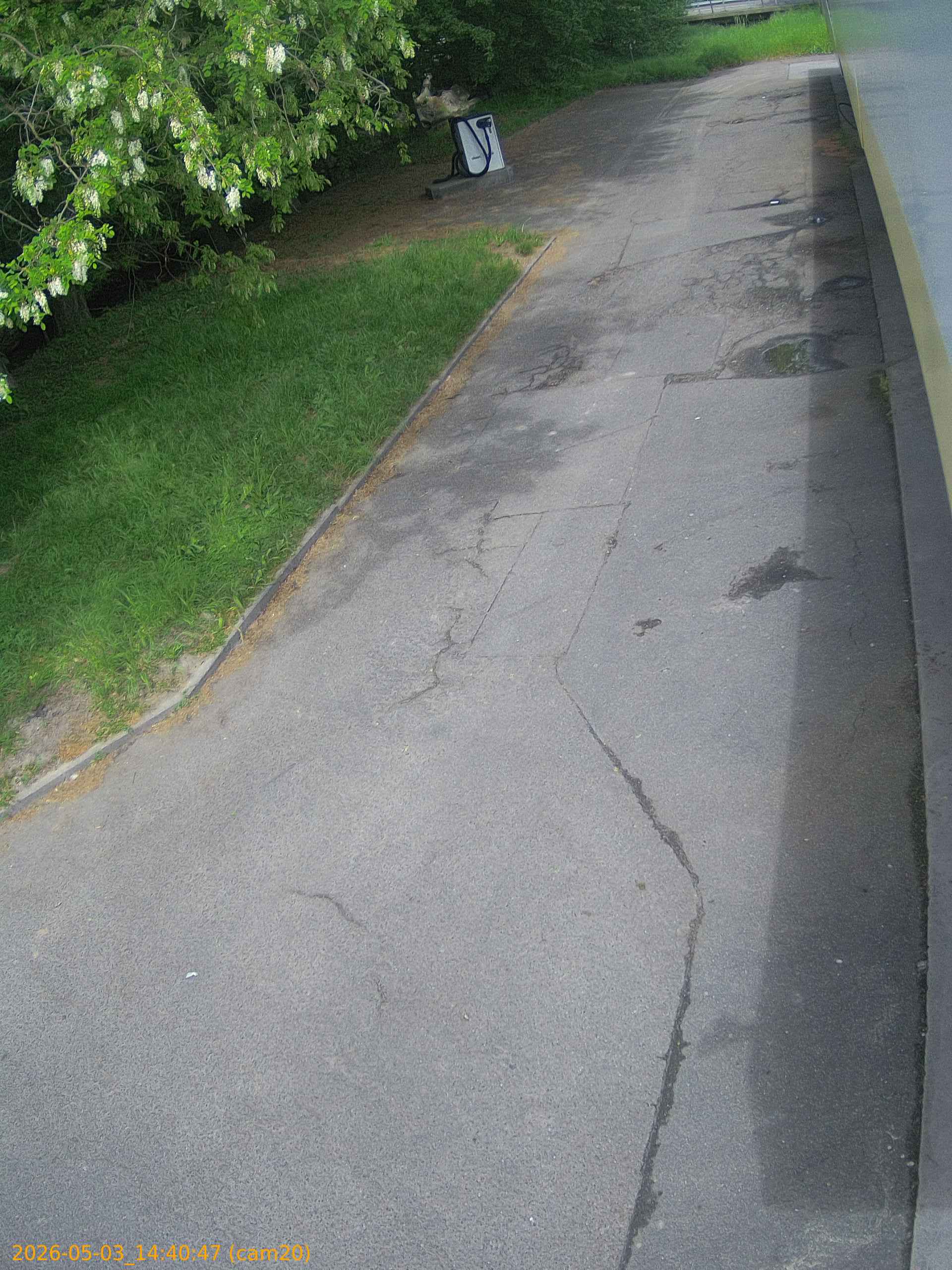 thumbnail_20260503144036