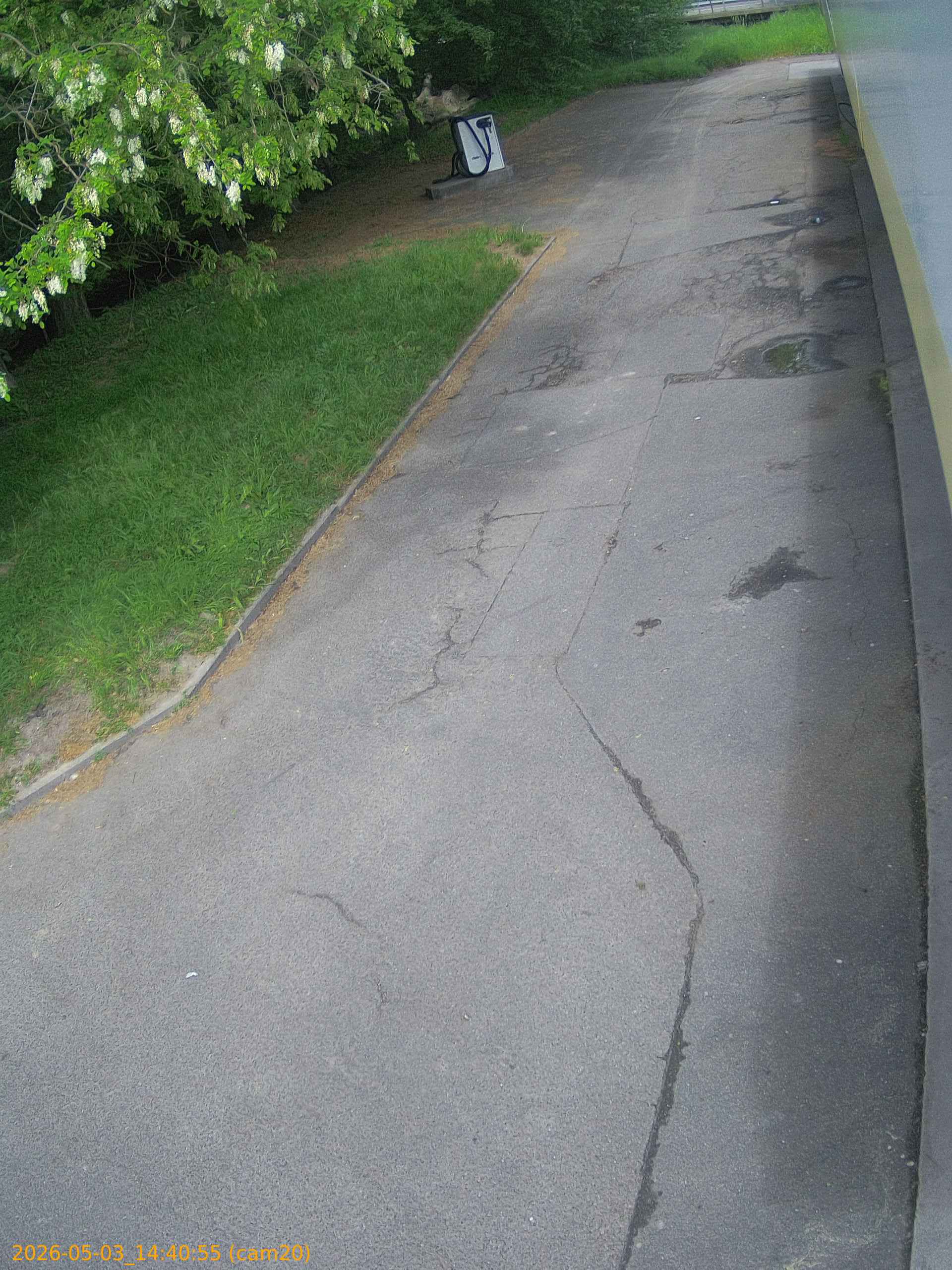thumbnail_20260503144052