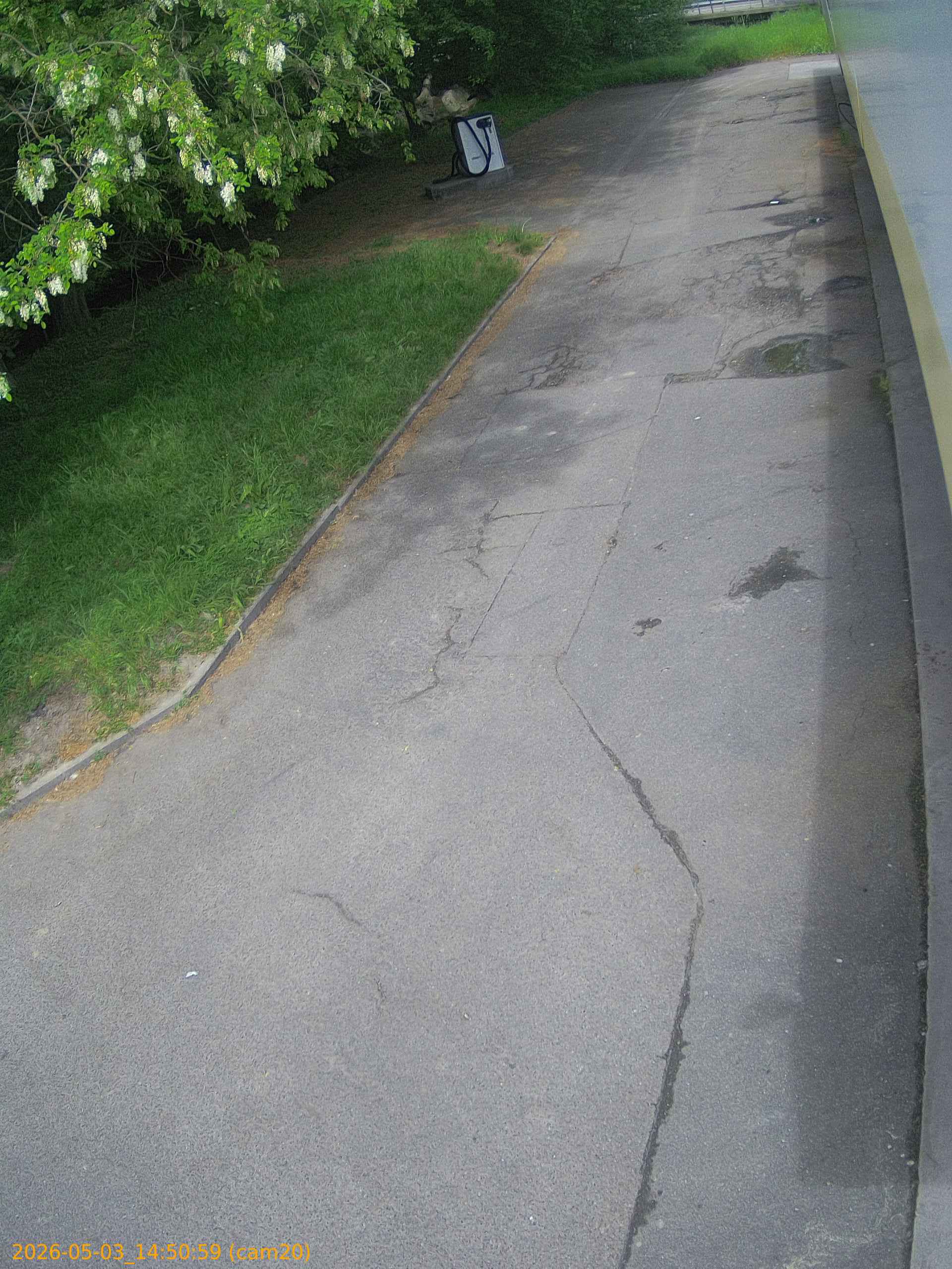 thumbnail_202605031450
