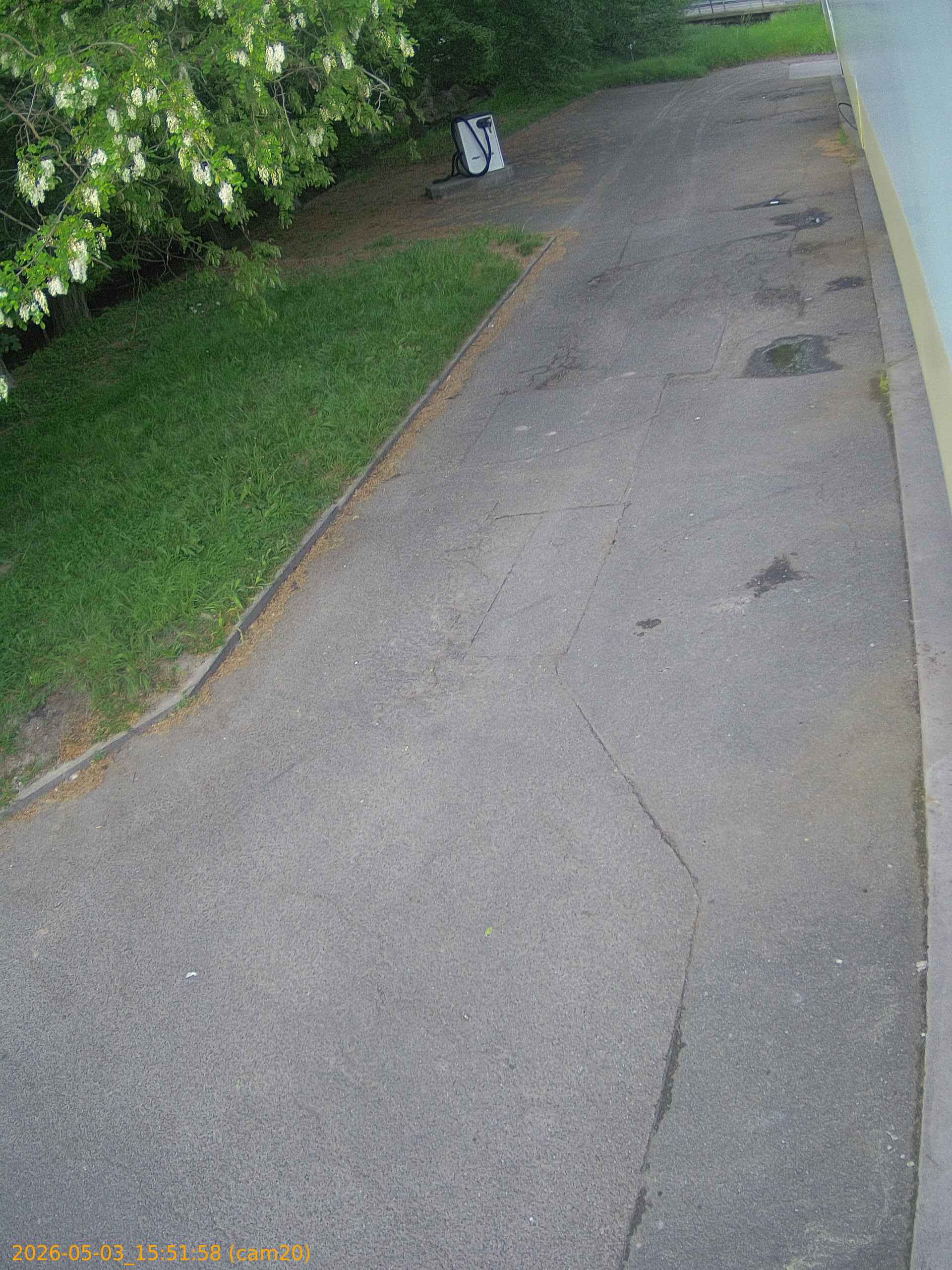 202605031551