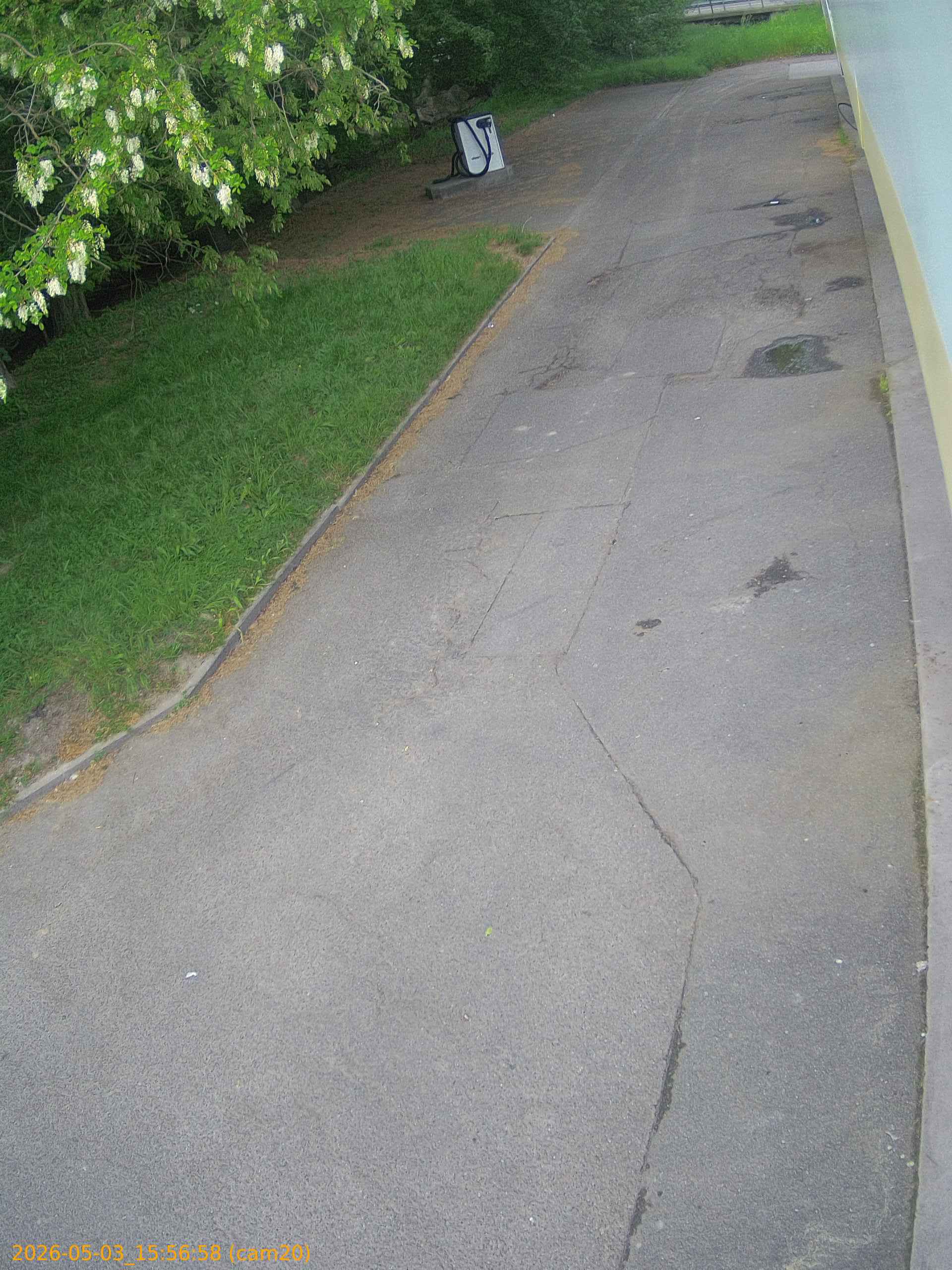 202605031556