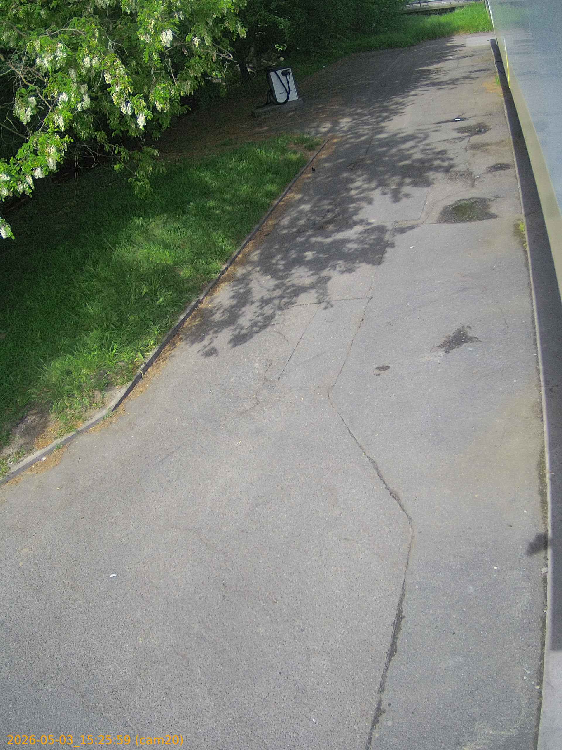 thumbnail_202605031525