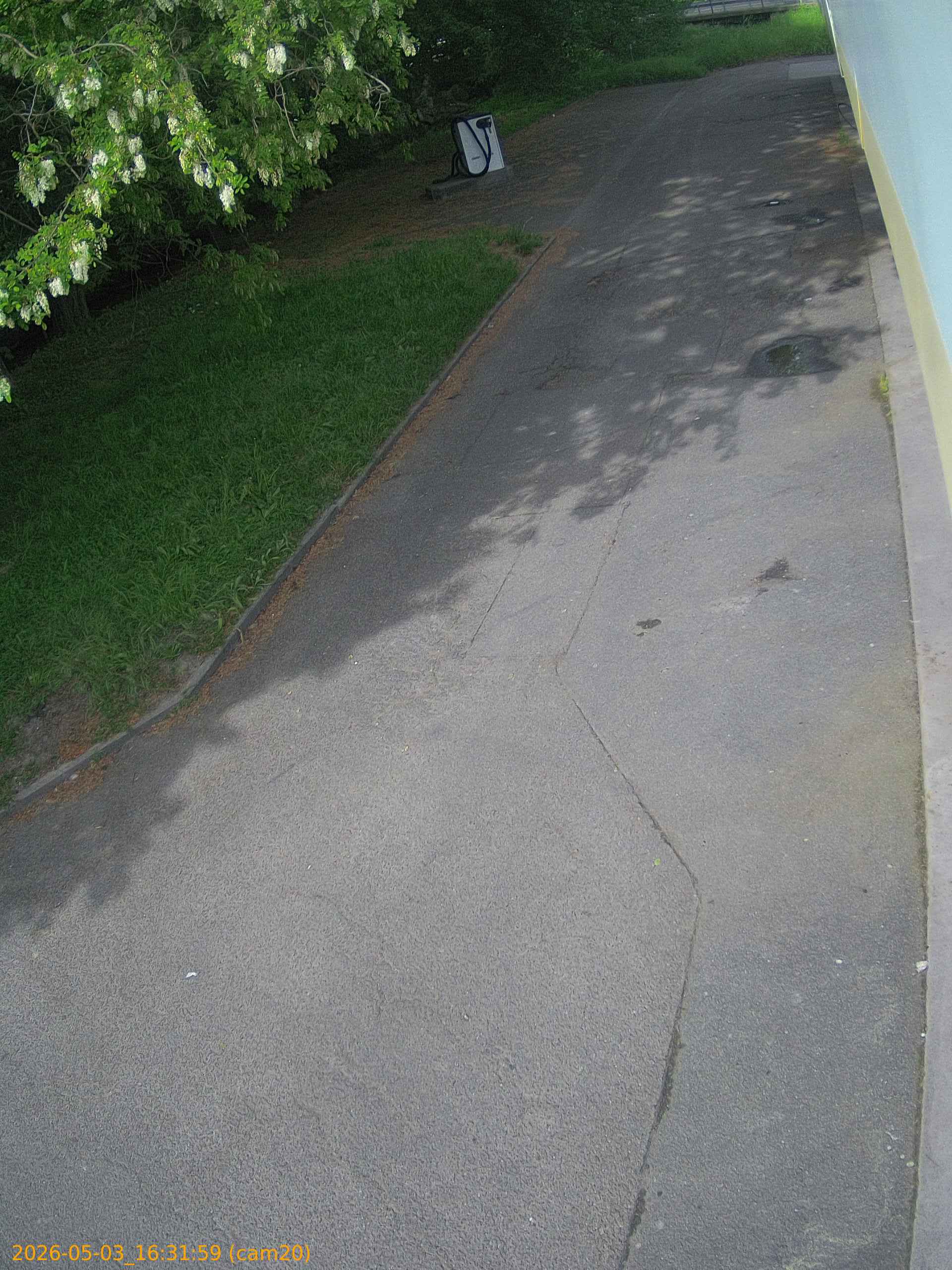 202605031631
