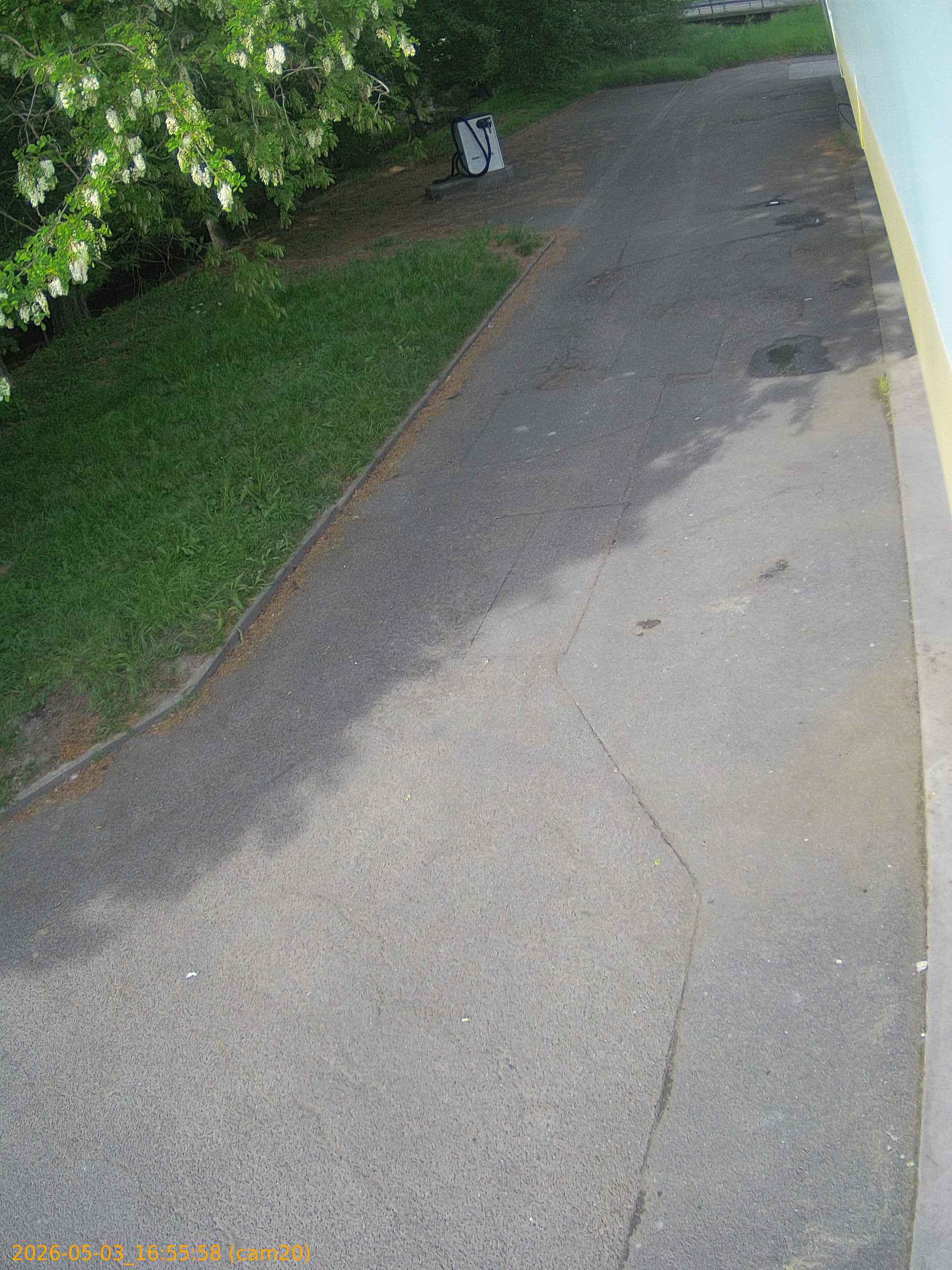202605031655