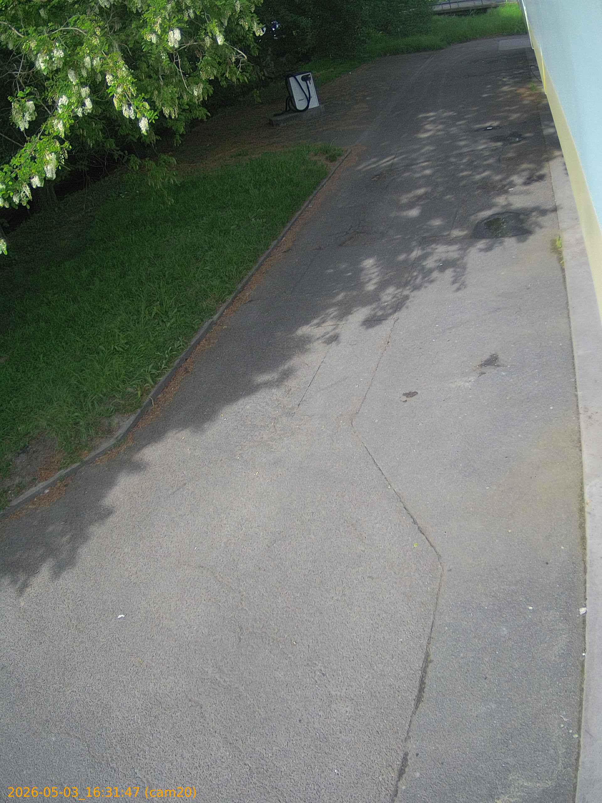 20260503163147