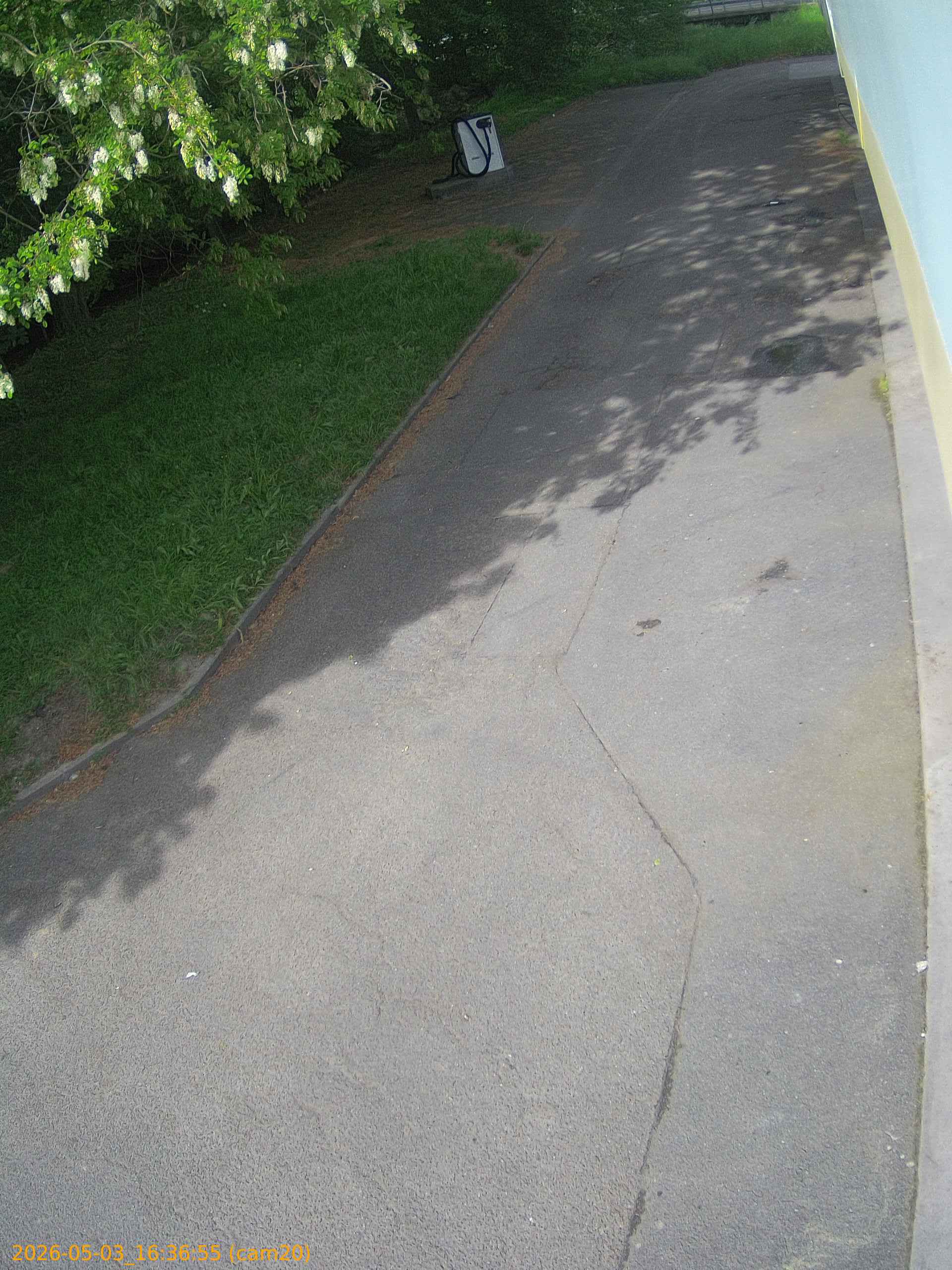 20260503163655