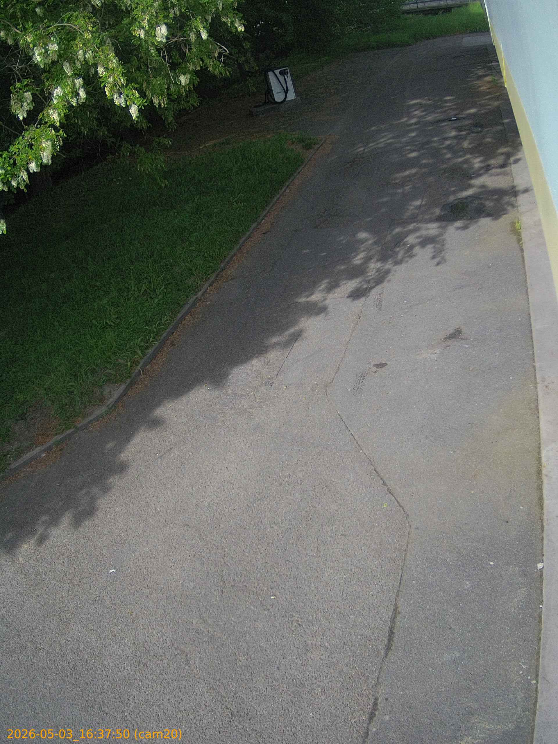 20260503163750