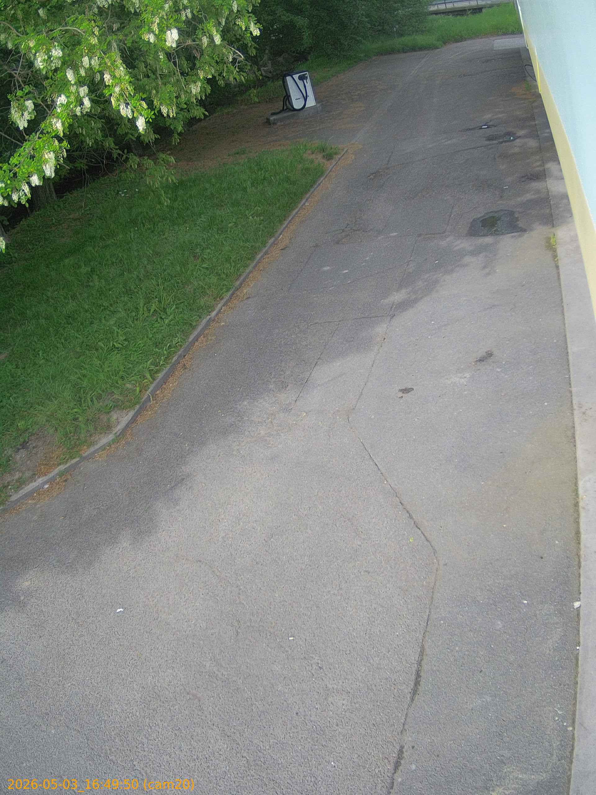 20260503164950