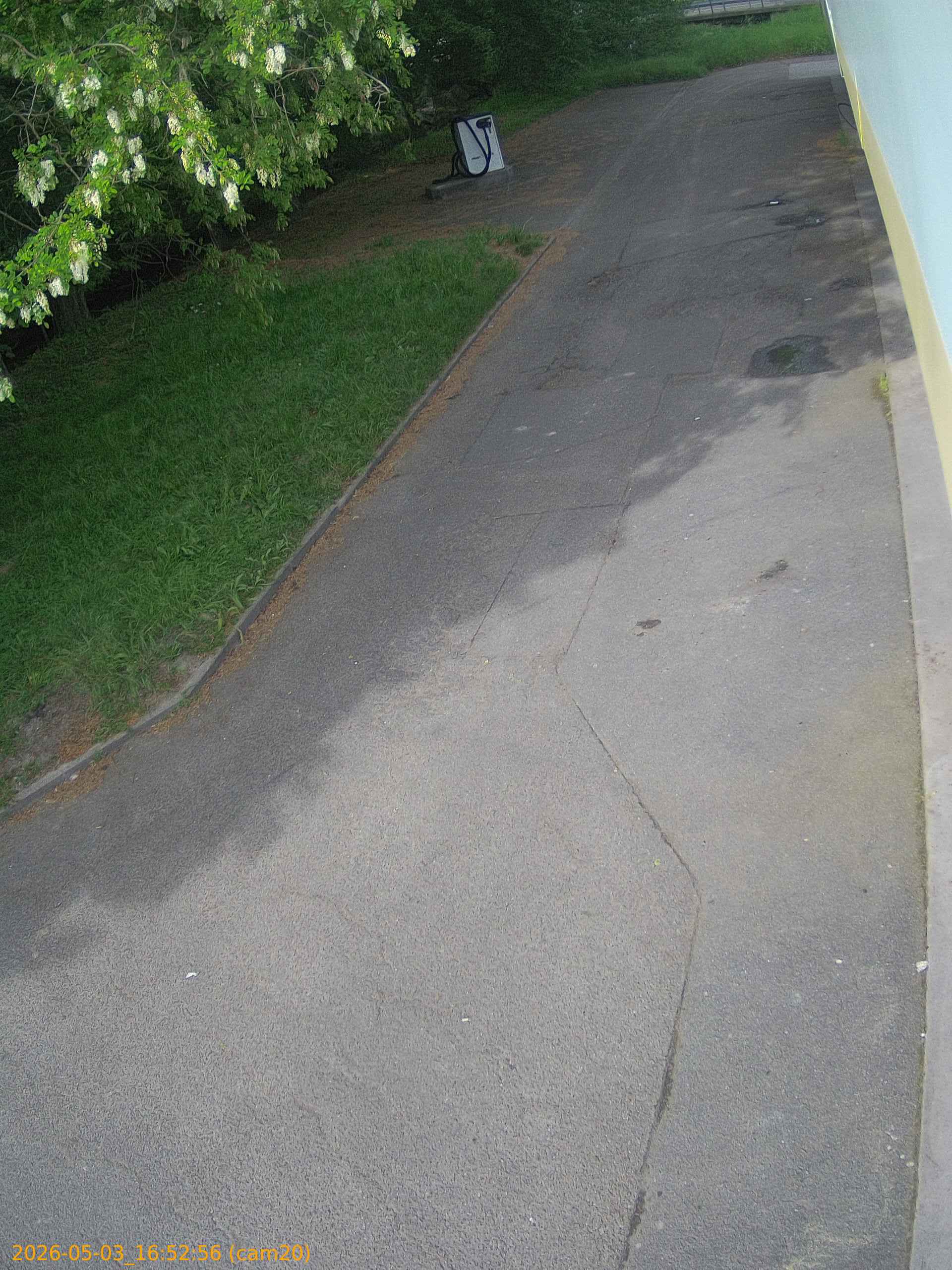 20260503165256